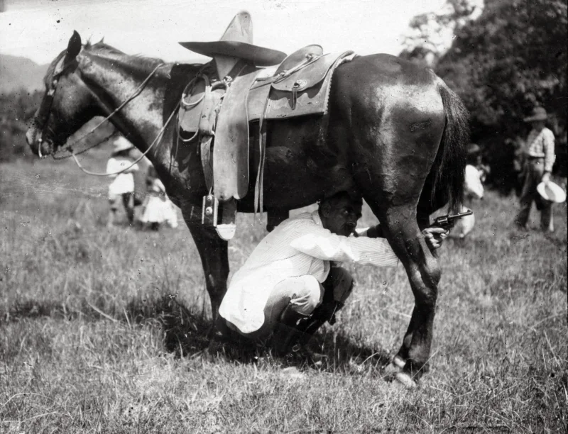 SFA022823919.jpg