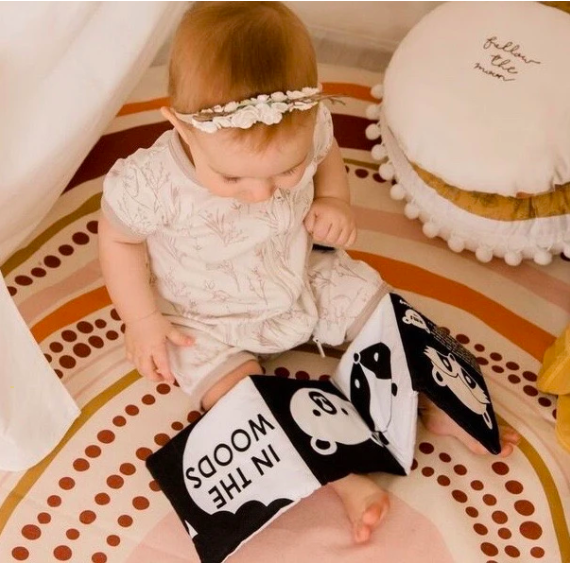 baby's first soft book