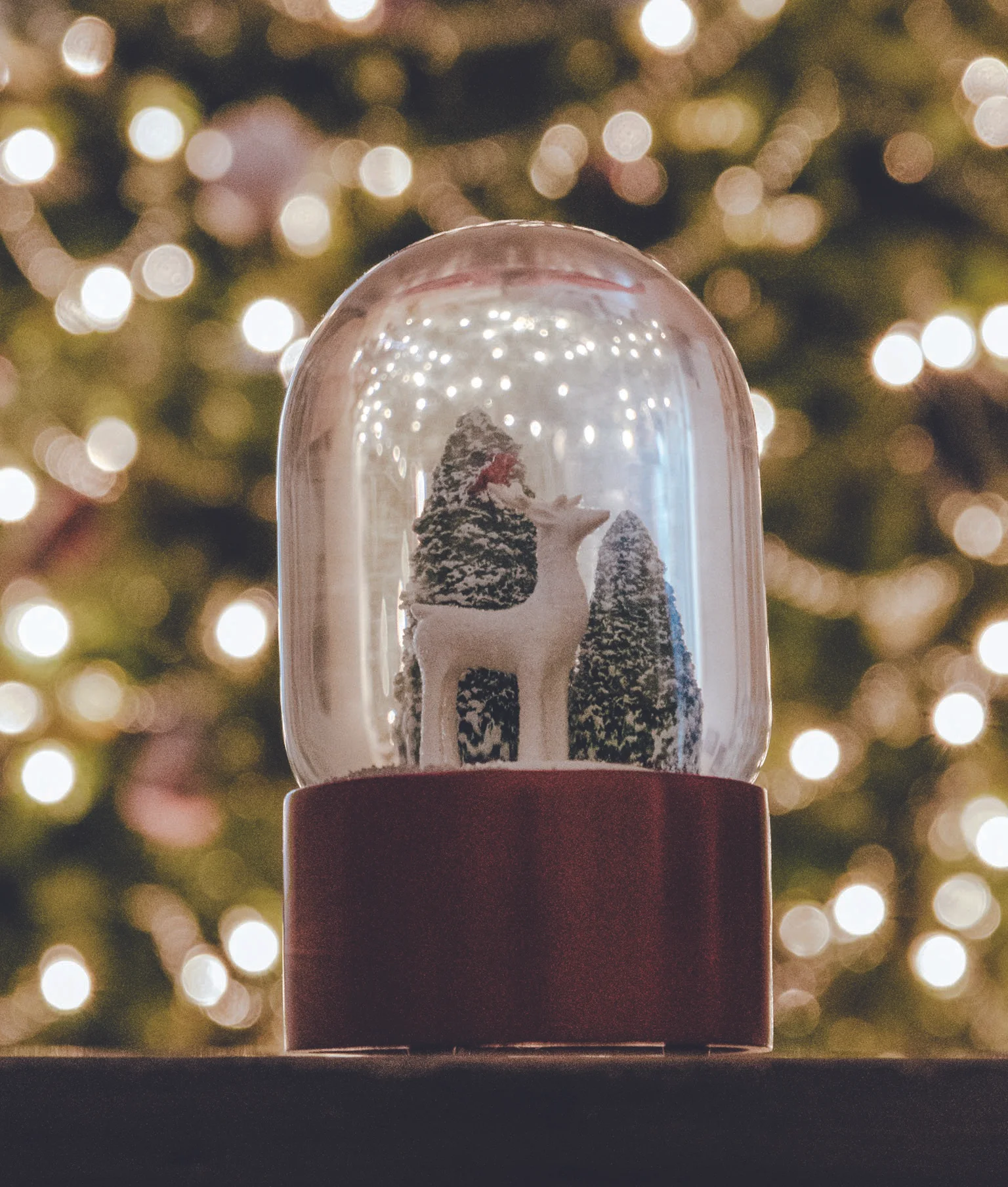 snowglobe little sparkle.jpg