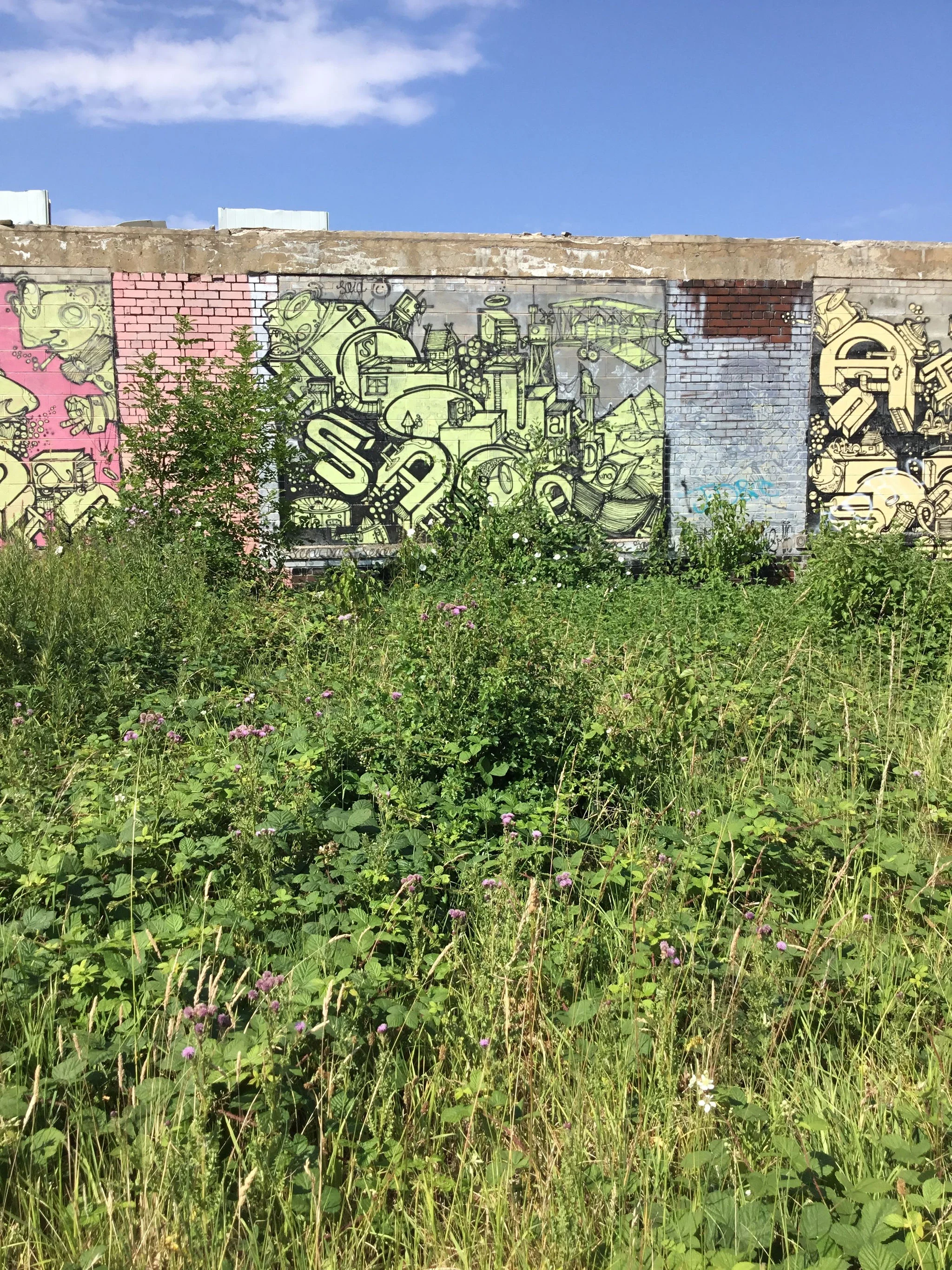image00011.jpeg