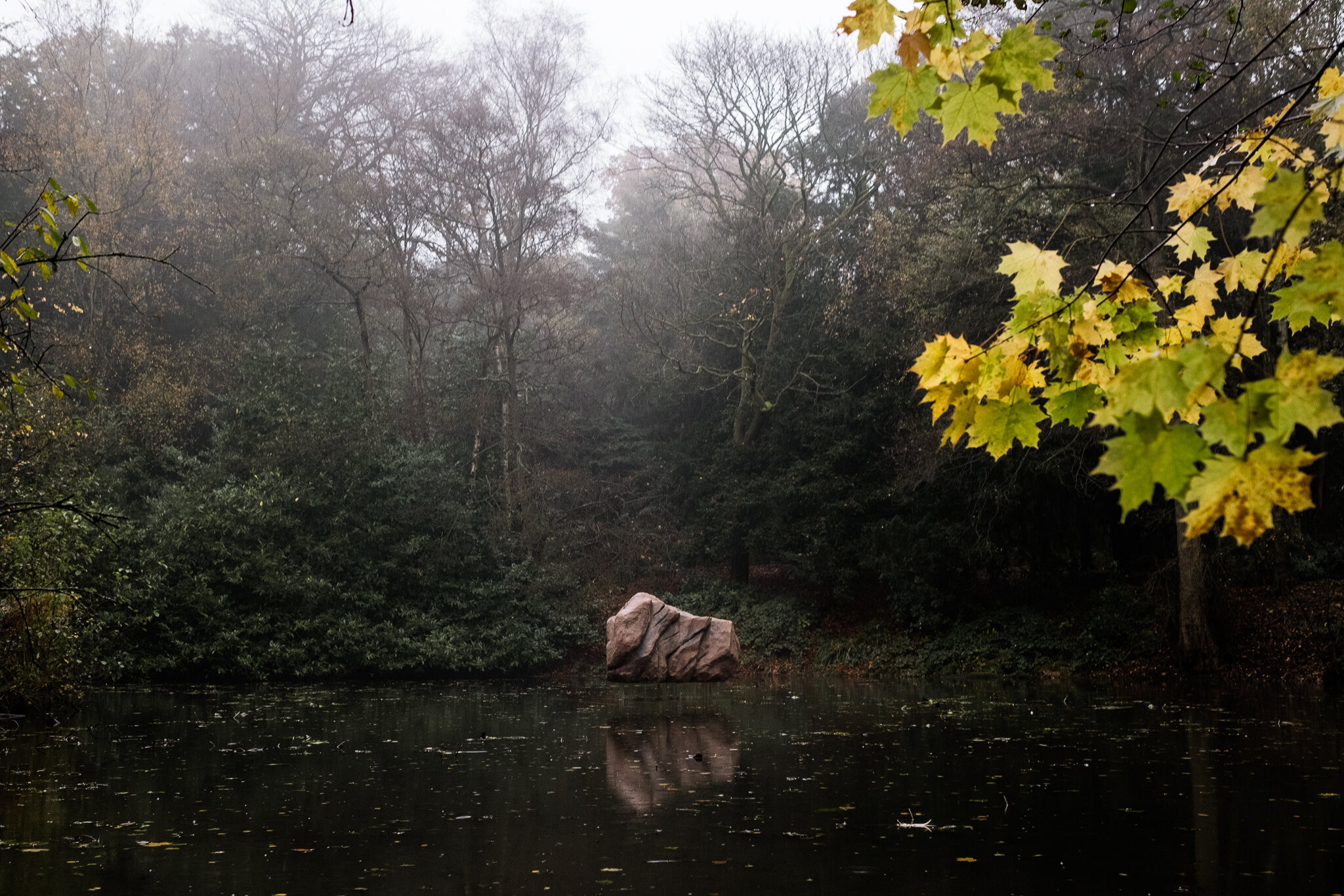 A Rock Above Water by David Bethell