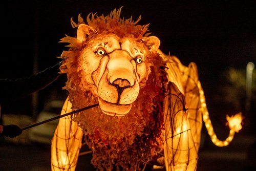 Light-Up Puppetry Masterclass - Andrew Kim of Thingumajig Theatre