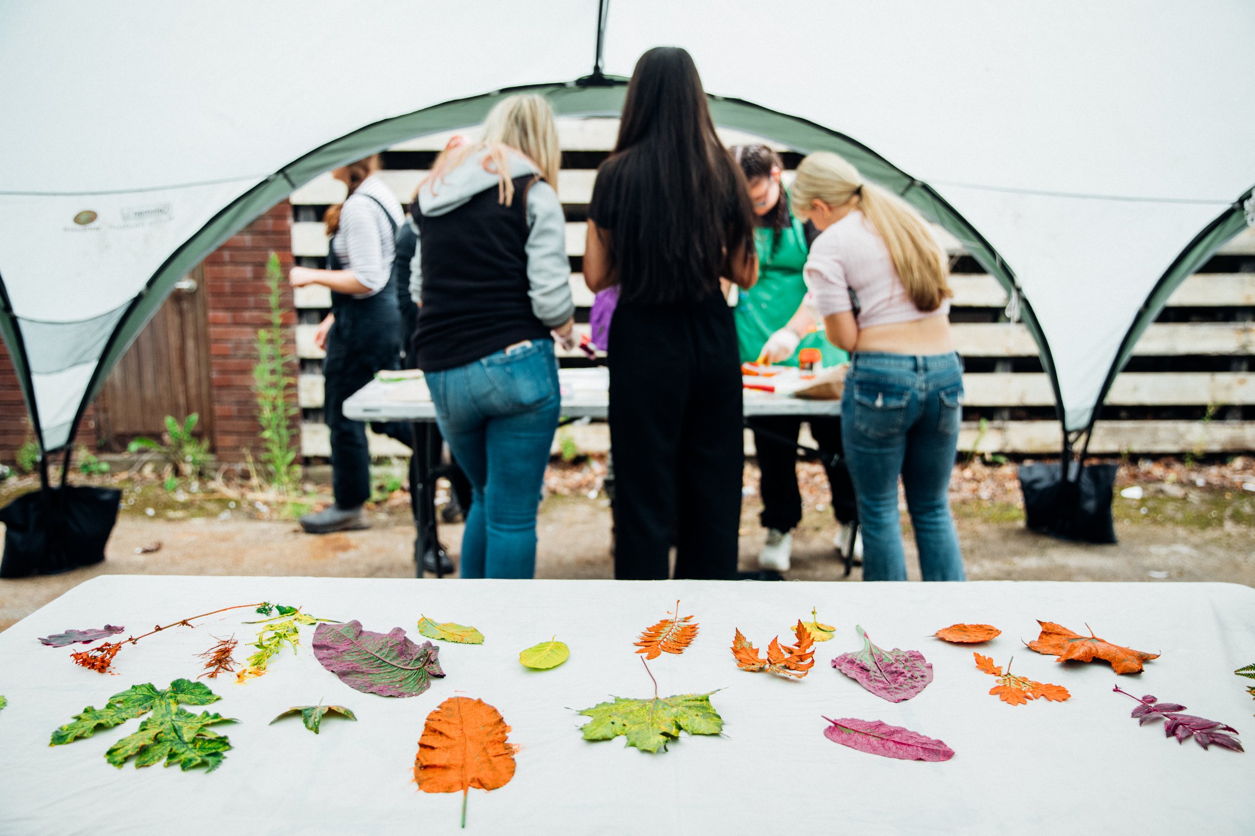 Living Mythologies - Urban Wilderness commission