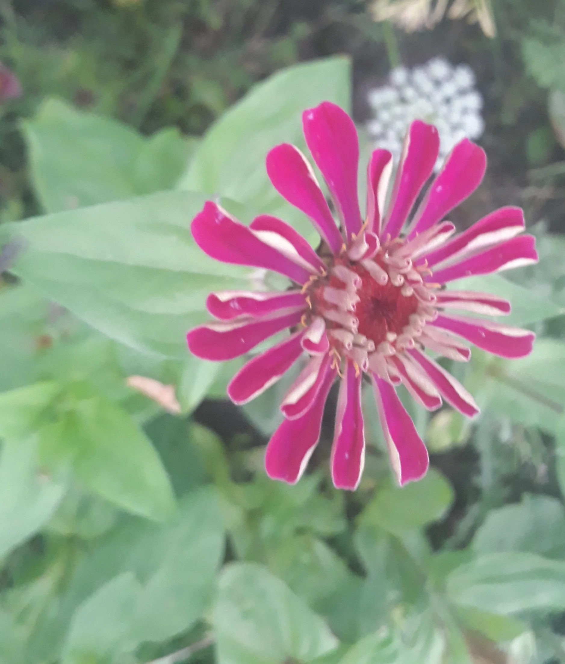 20180815_202738.jpg
