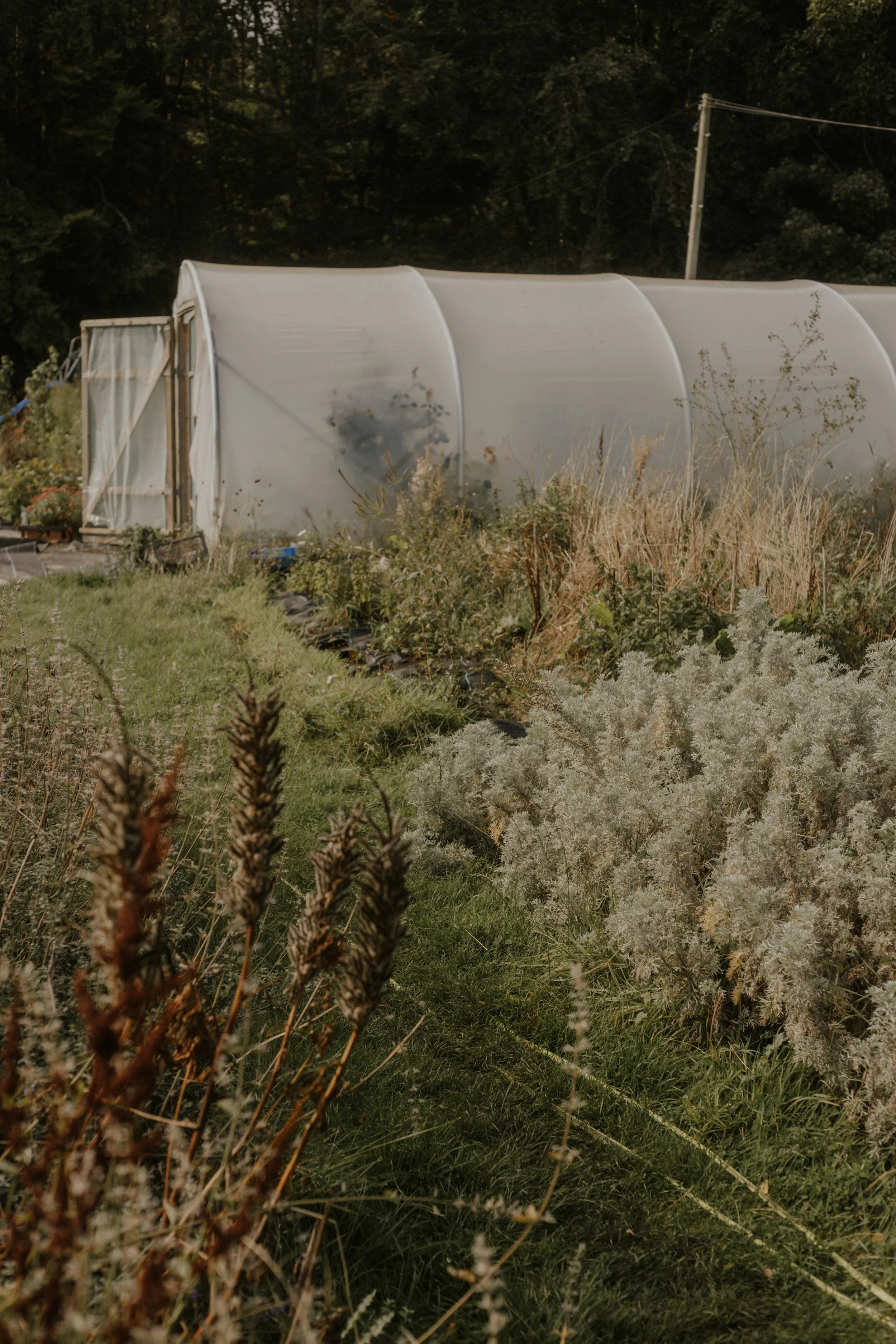 flowerday-39 (1) (1).jpg