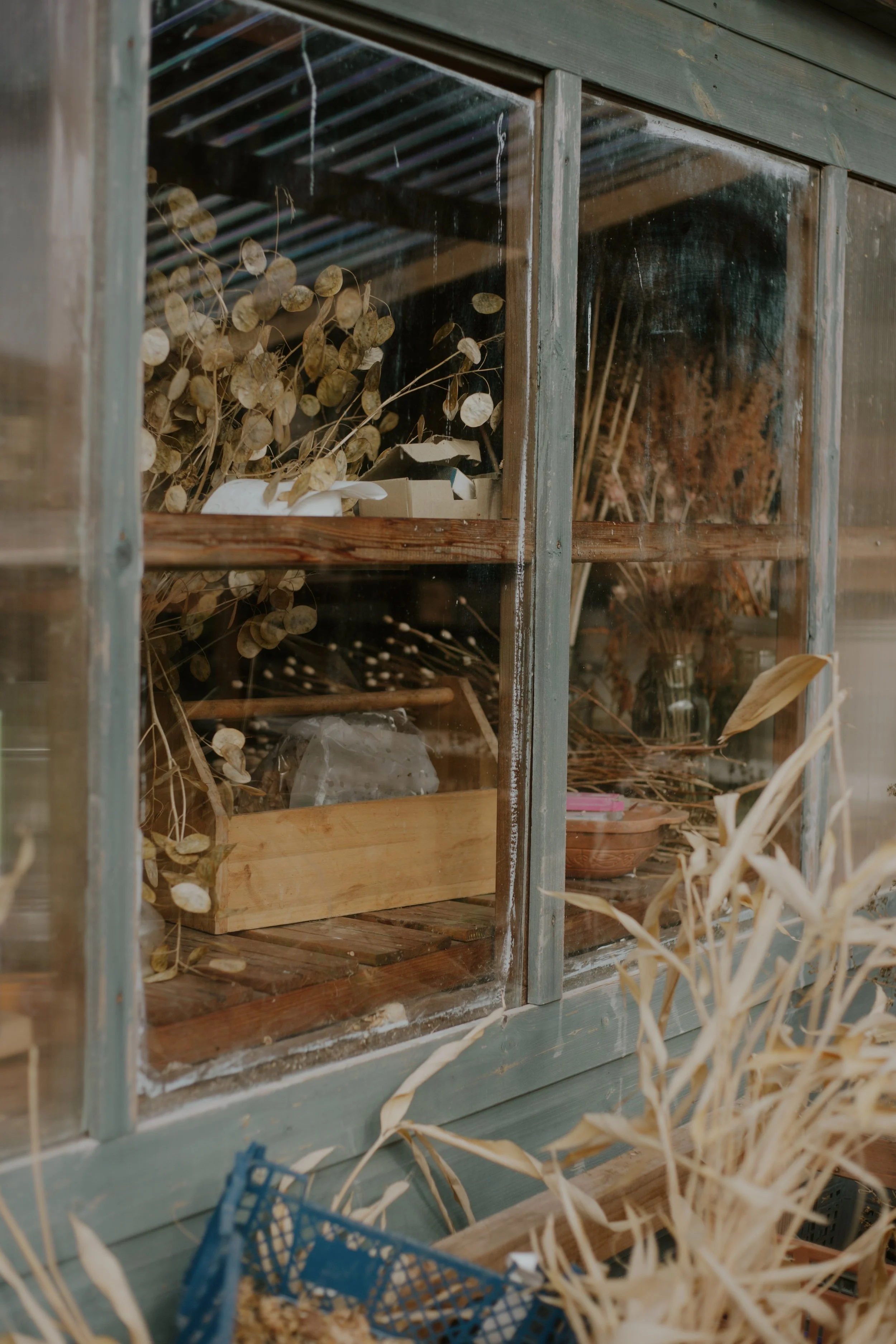 flowerday-37 (2).jpg