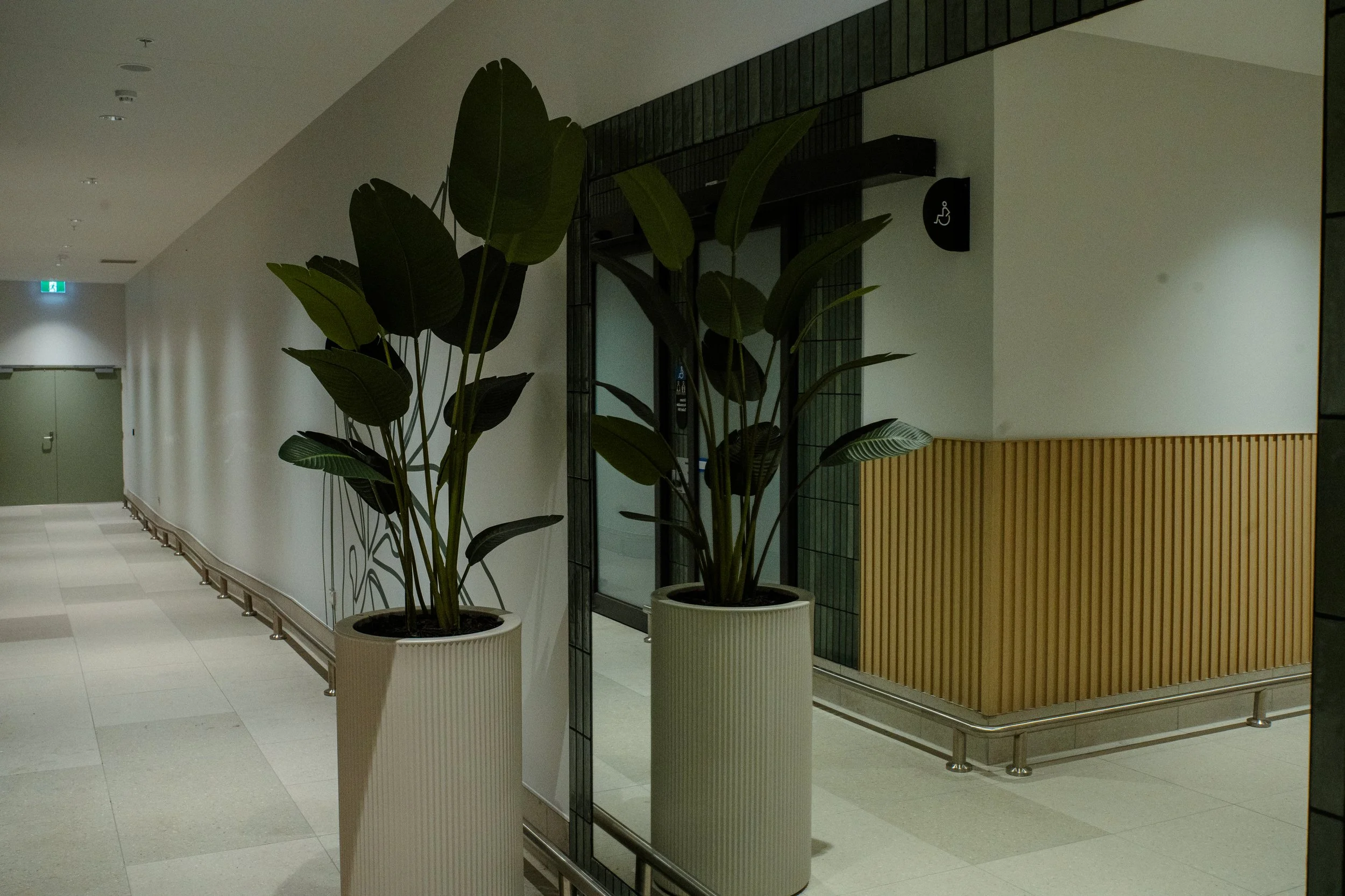 DSC07113.jpg