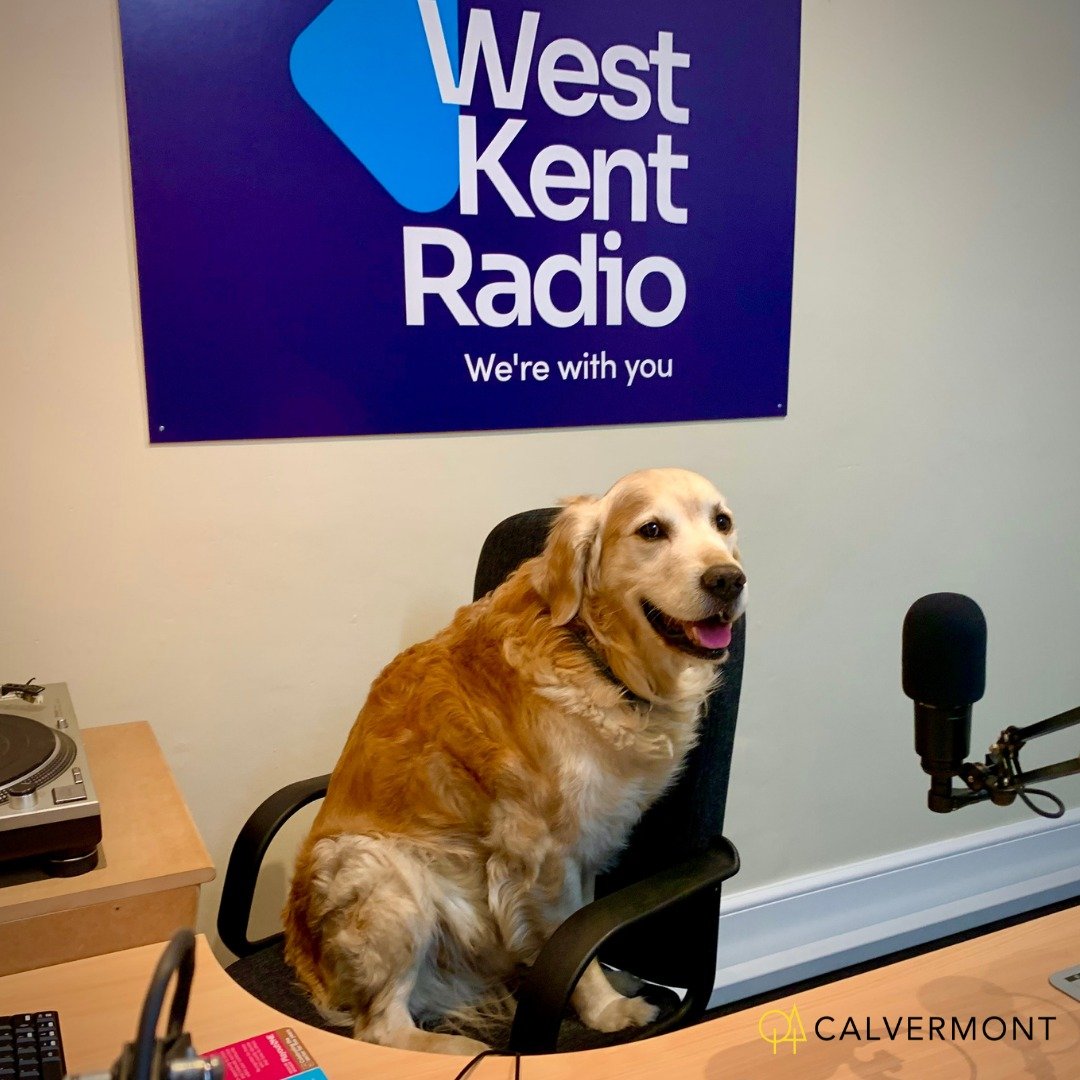 A barking mad April Fools - Calvermont recruits first canine client