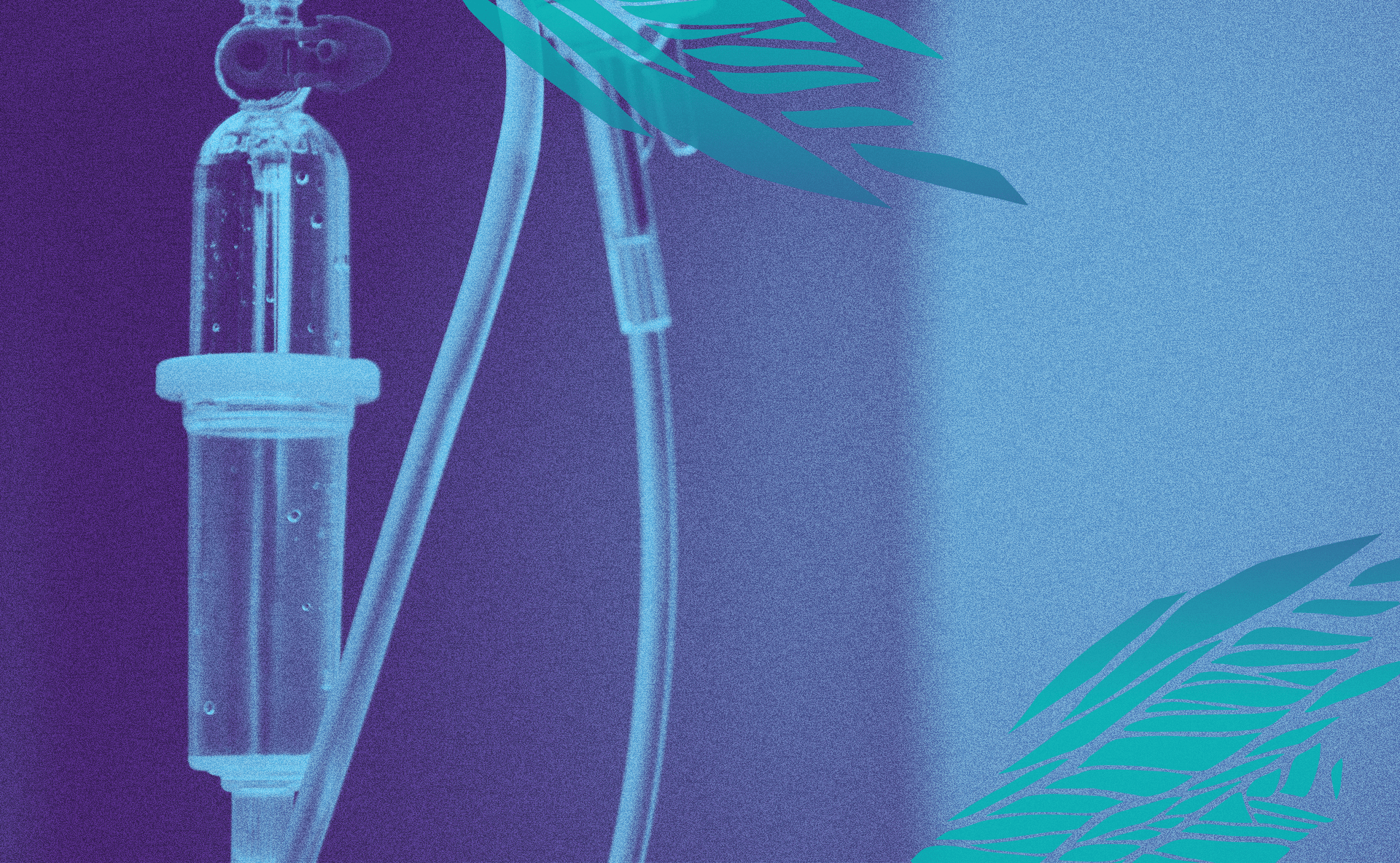 header_04-min.png