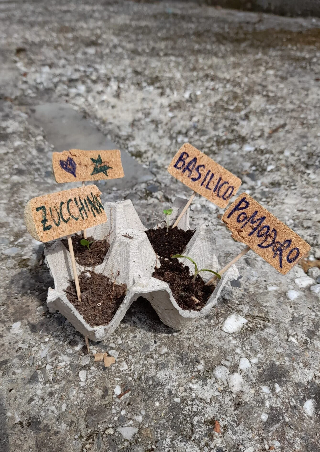 Pianta i tuoi odori e ortaggi con il Kit Primavera! 