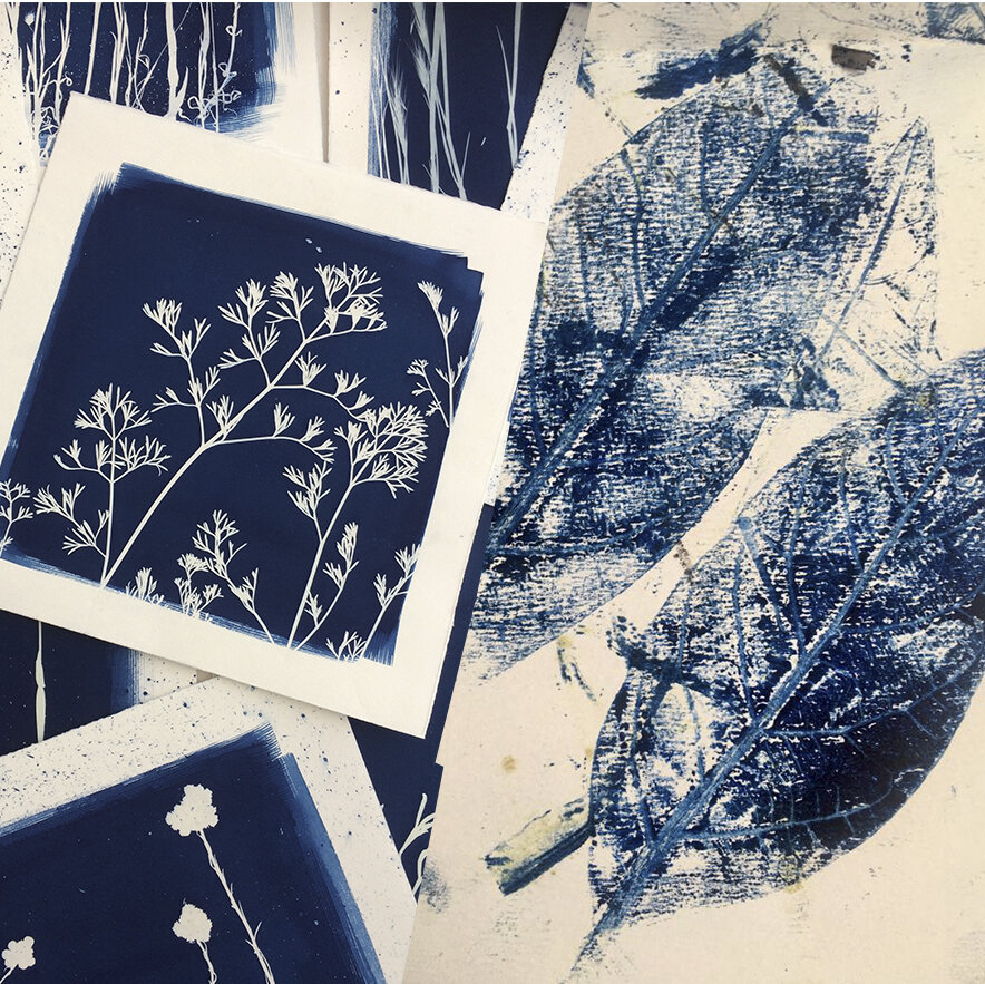 Erbe in Ciano e Stampa con le foglie