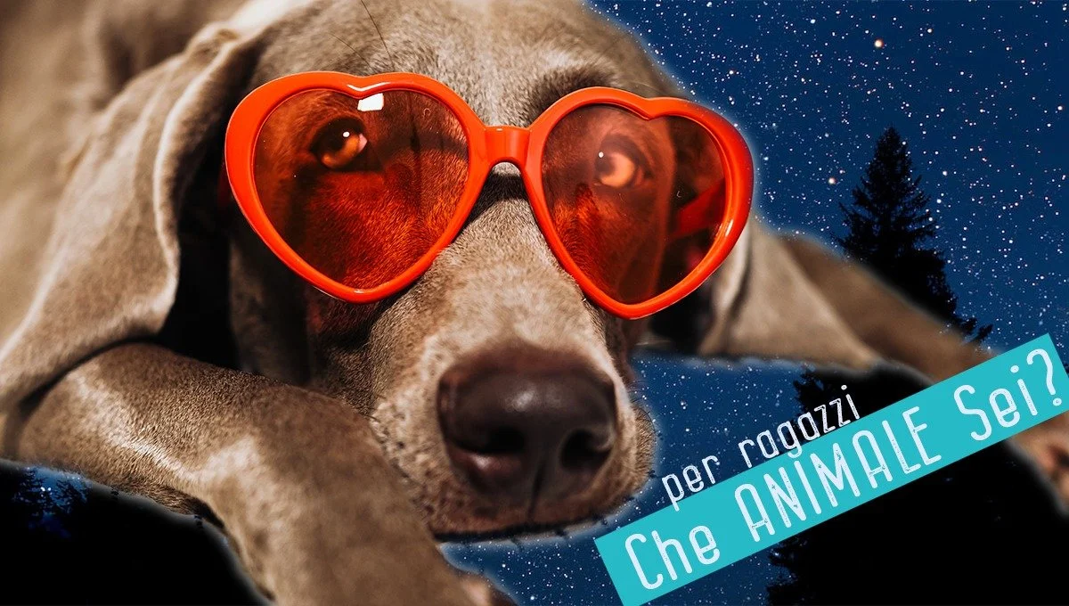 Che animale sono? - SoulCollage® per ragazzi dai 14 ai 18 anni