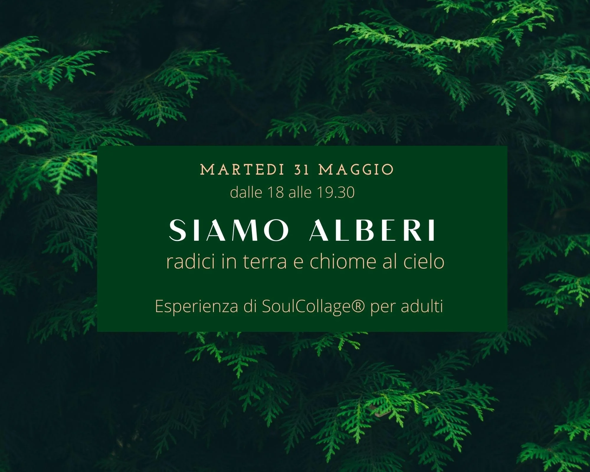 Siamo Alberi, radici in terra e chiome al cielo - SoulCollage® per adulti