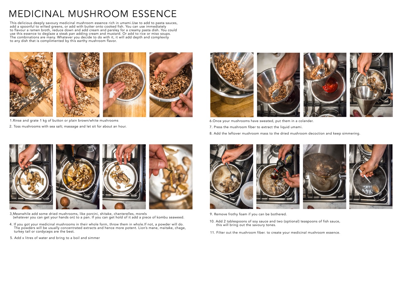 MEDICINAL-MUSHROOM-ESSENCE-LAYOUT-1.jpeg