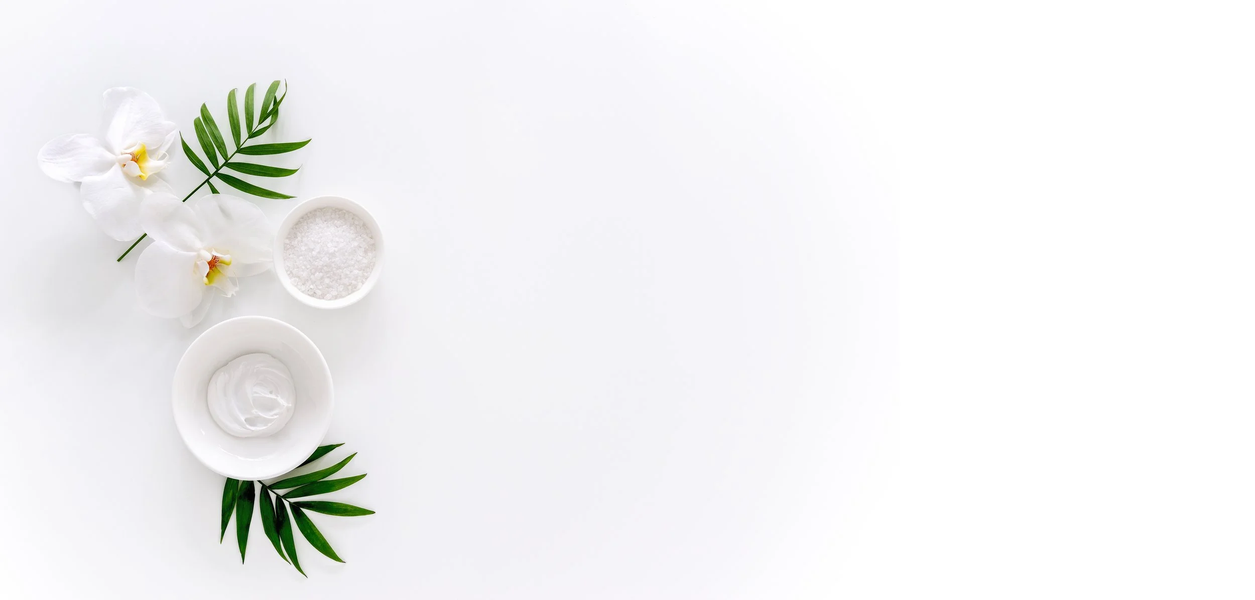 RE Logo background.jpg