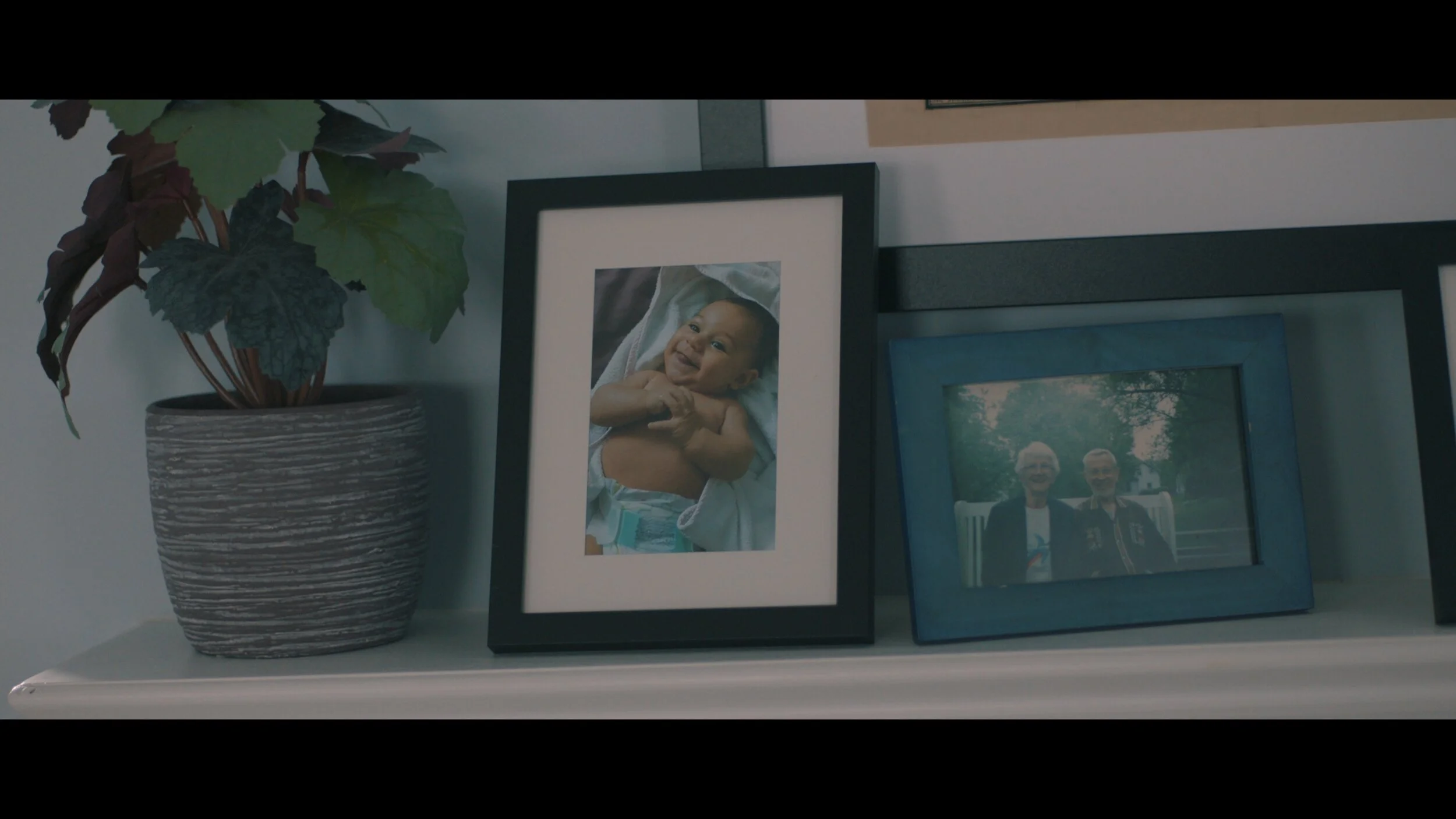 Screen Shot 2021-08-12 at 4.34.02 PM.jpeg