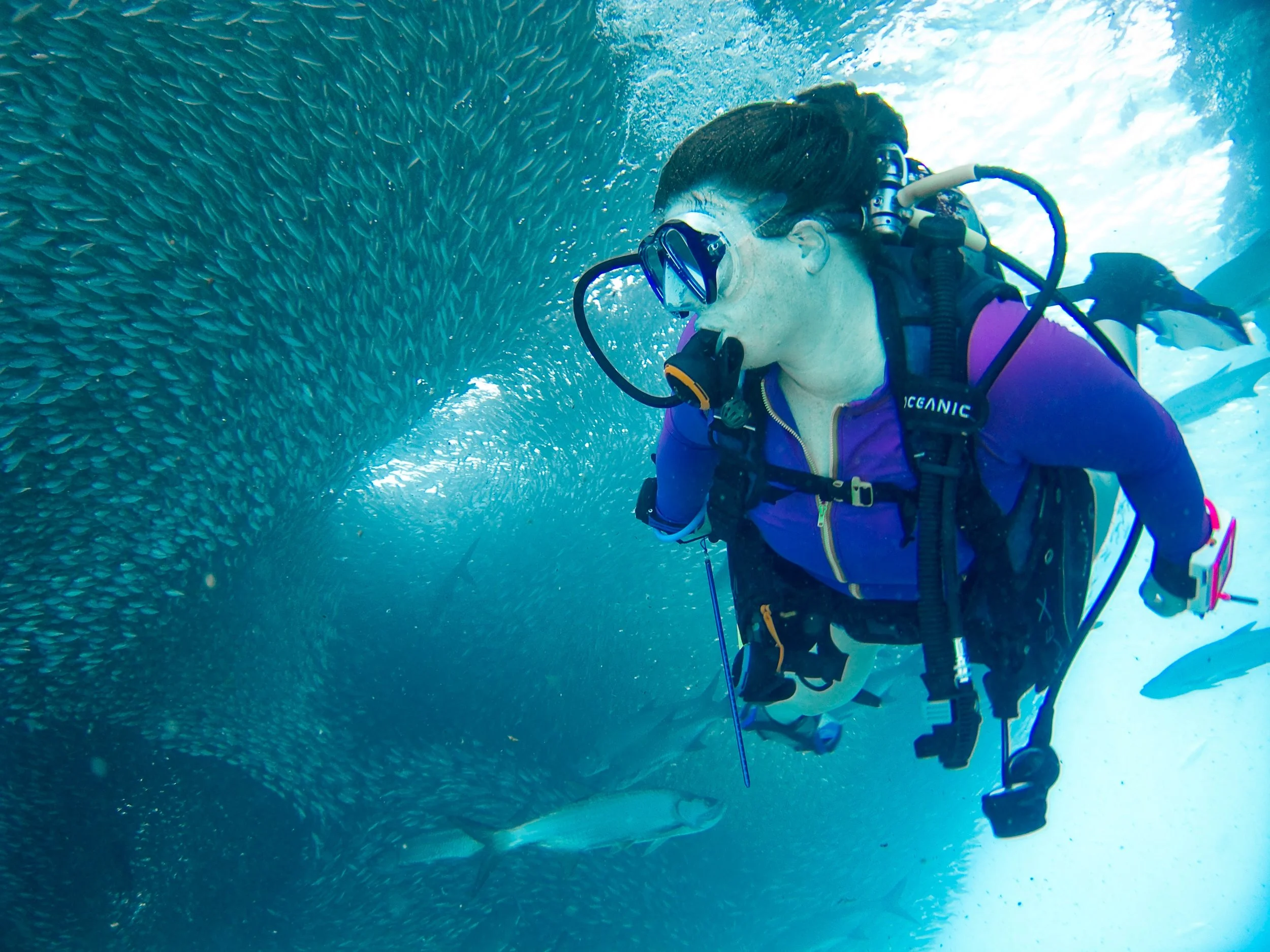 scuba.jpg