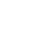 small record_Govt Mule copy.png