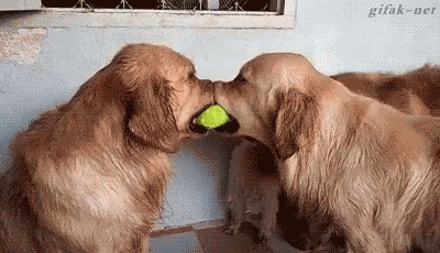 download.gif