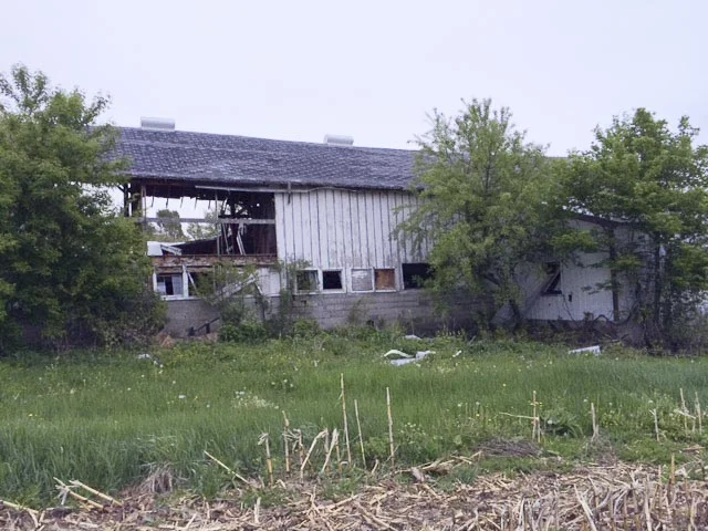 image9.jpg