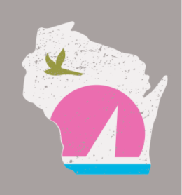 Close up of the sun, sail and bird images from Wisconsin’s license plate in trending pink, aqua, and green hues.