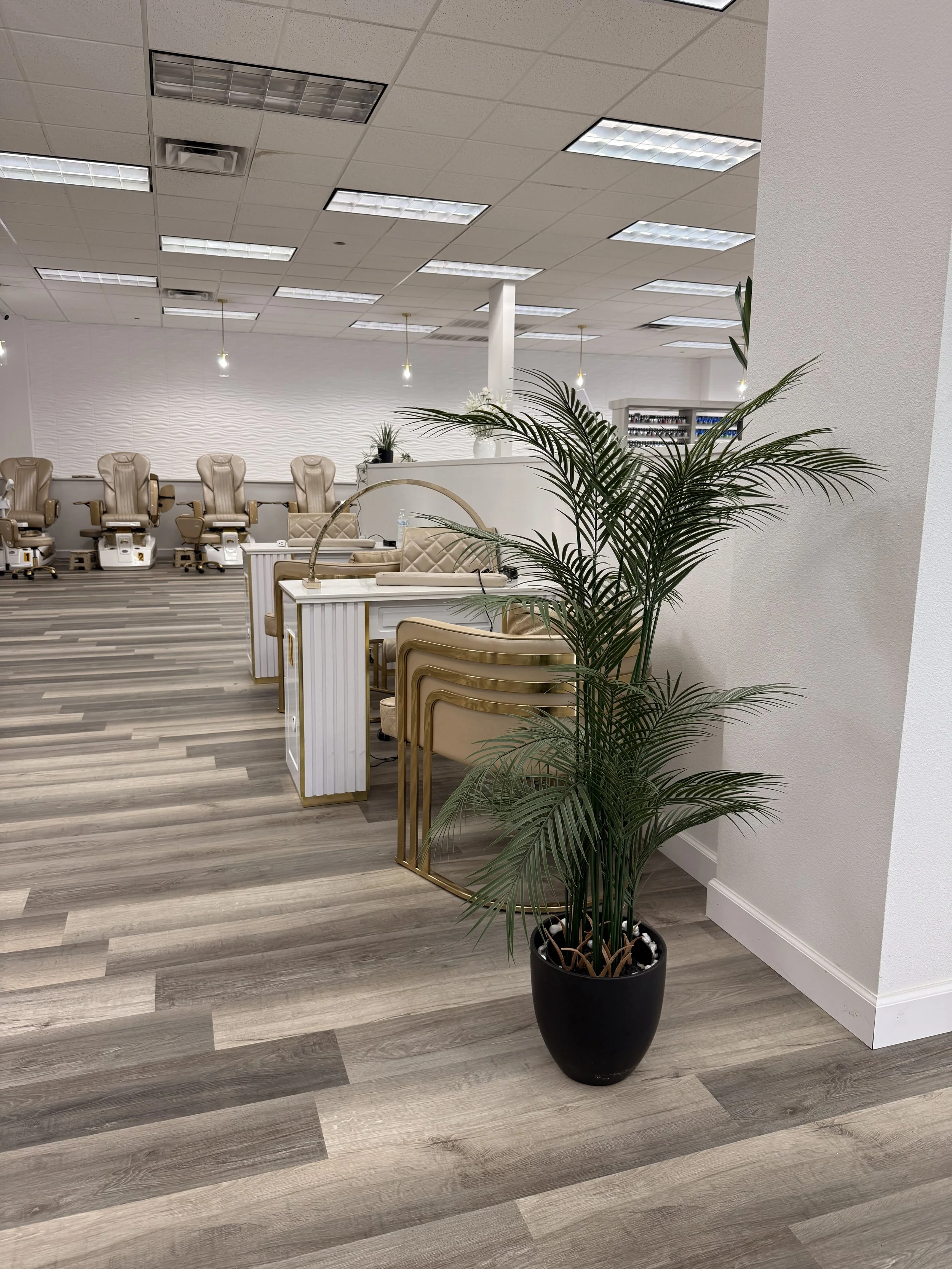 Photo Sep 18 2025, 3 03 14 PM.jpg