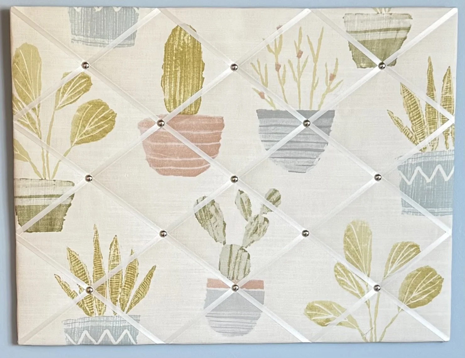 Cactus Notice Board