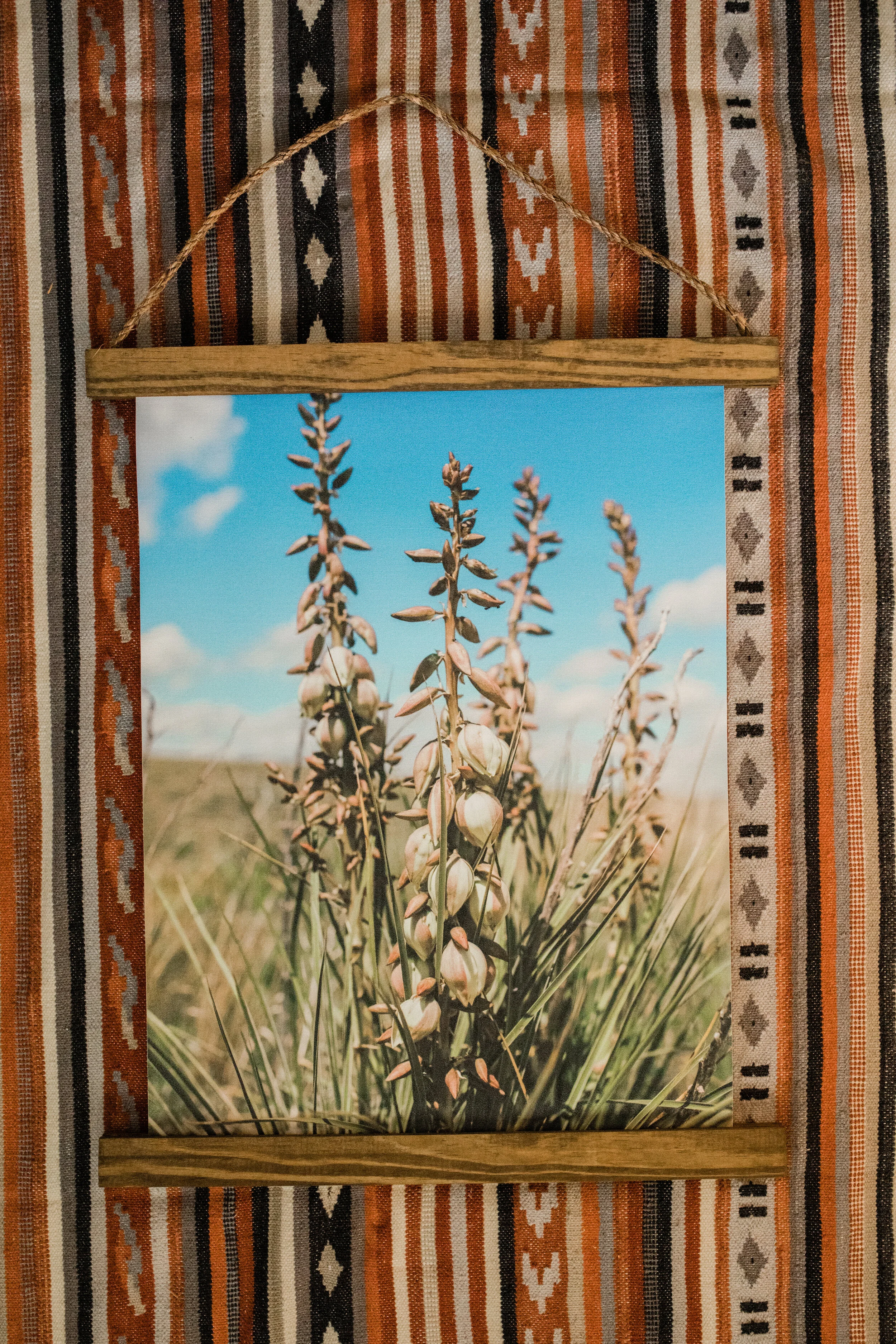 The Yucca Hanging Canvas