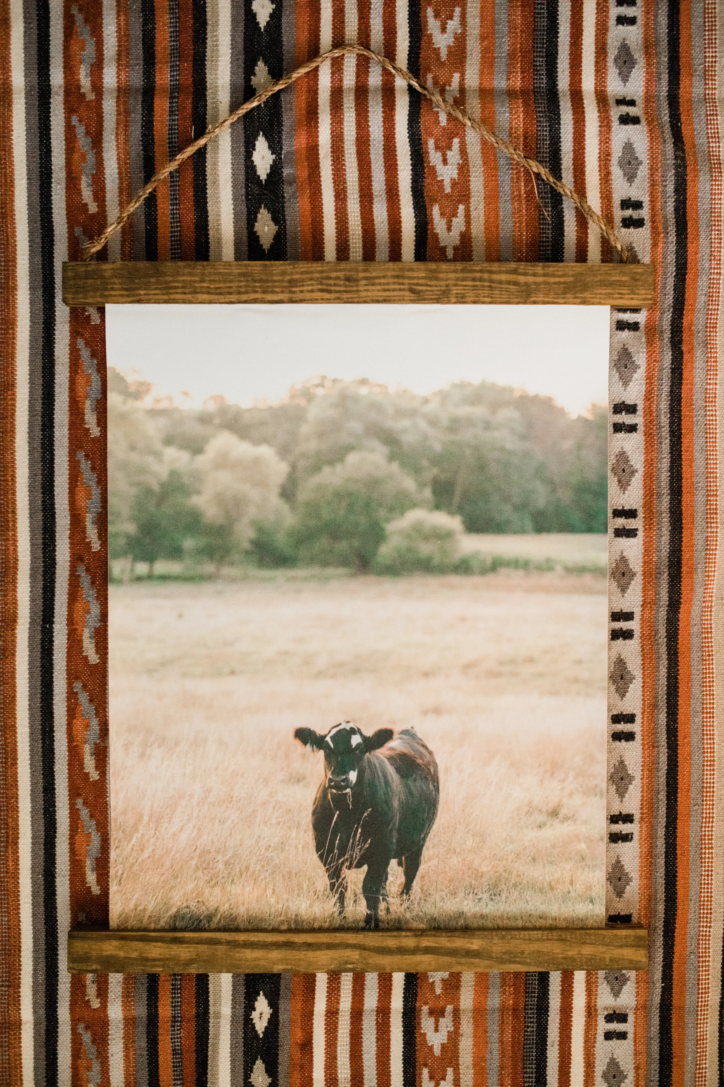 Brockle The Cow Hanging Canvas