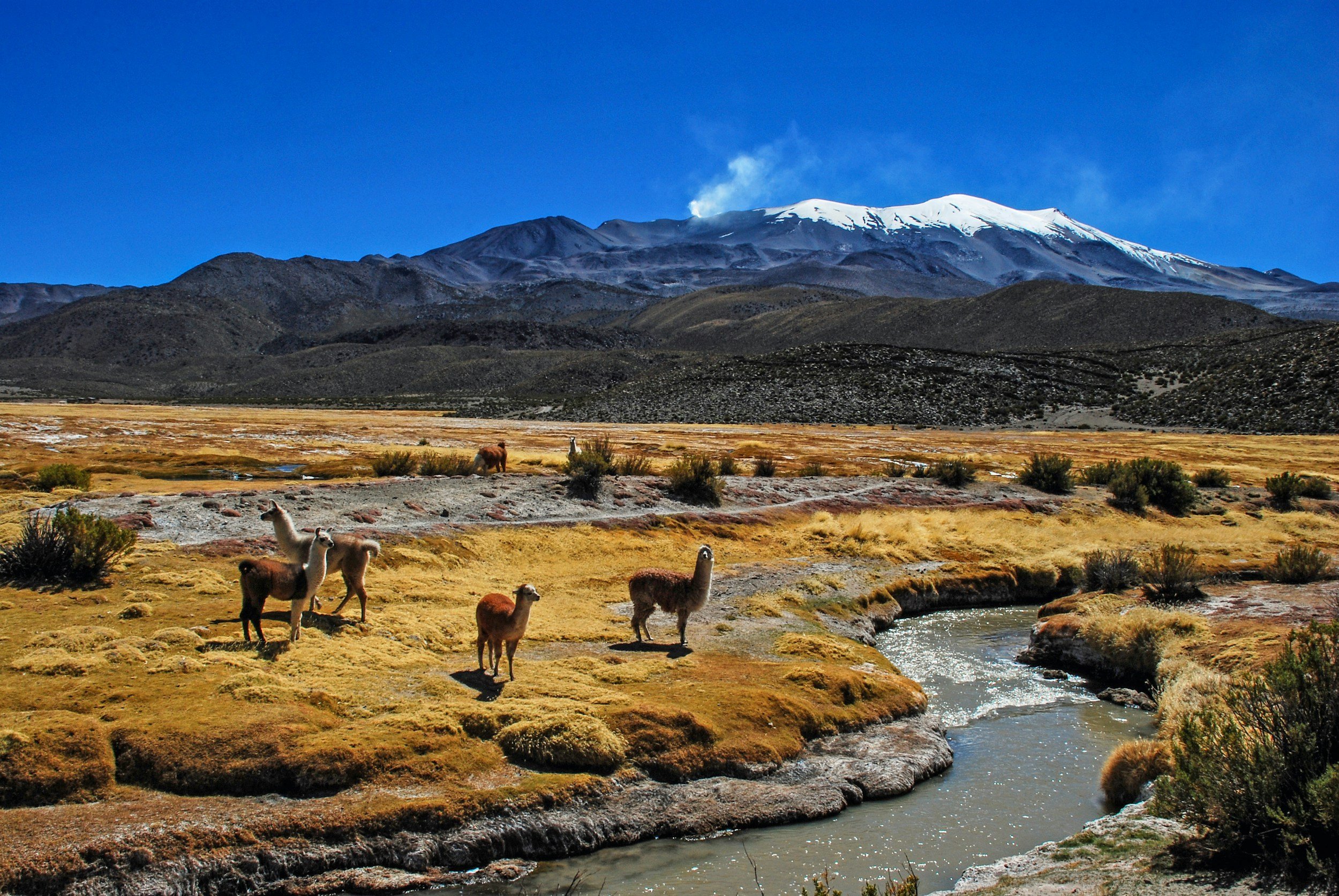 Peru and Bolivia