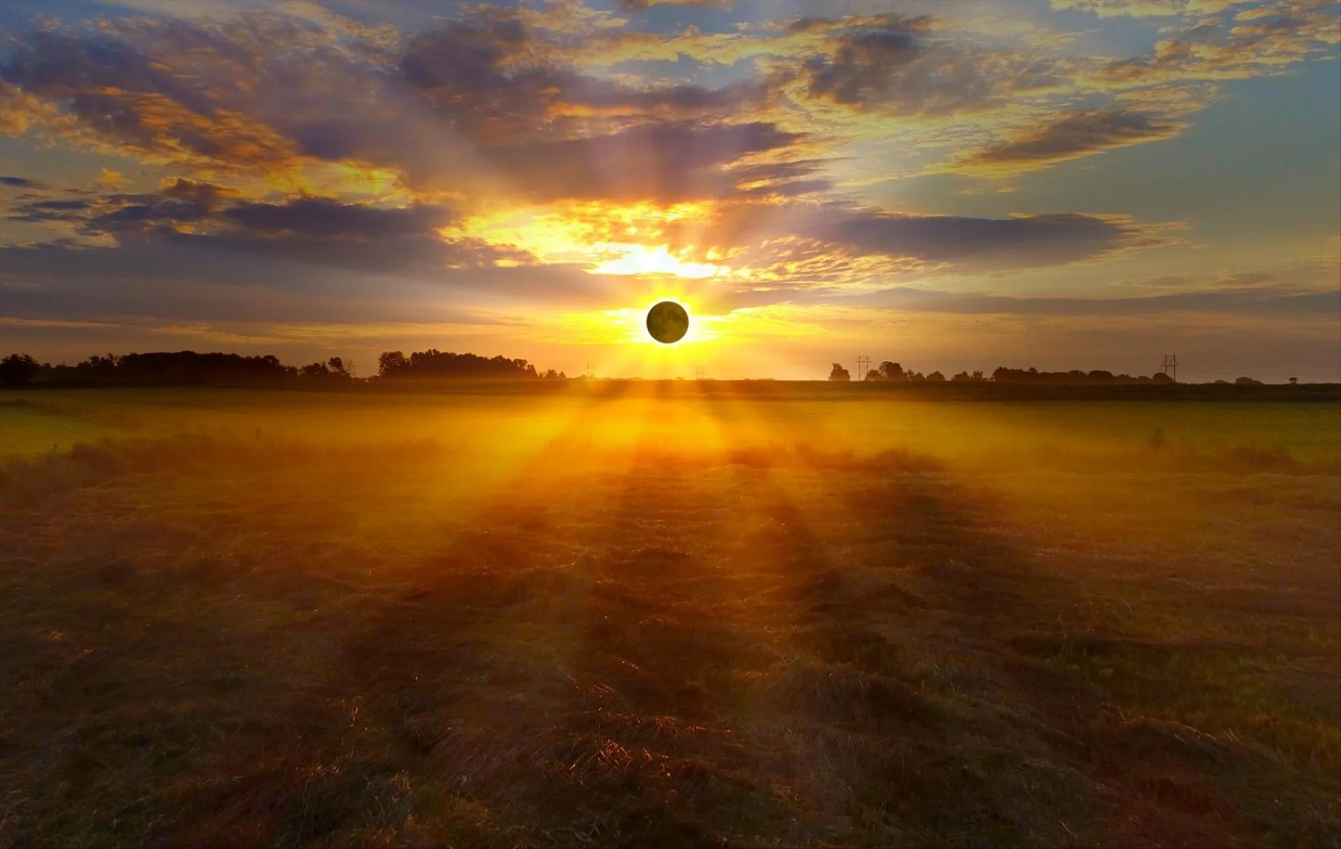 Total Eclipse in Spain — Ribera del Duero Day Tour