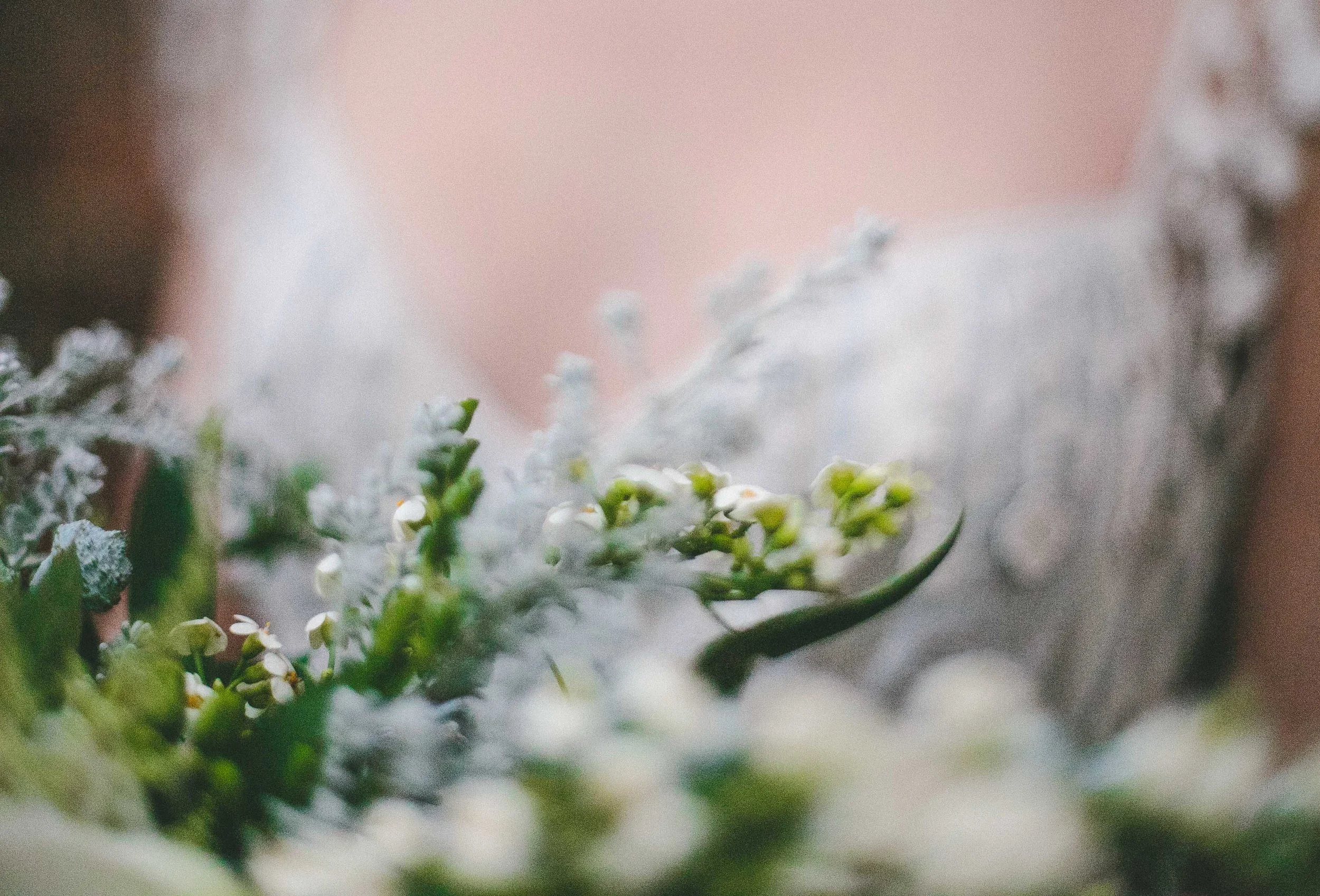 Camp Katur Wedding Photographer