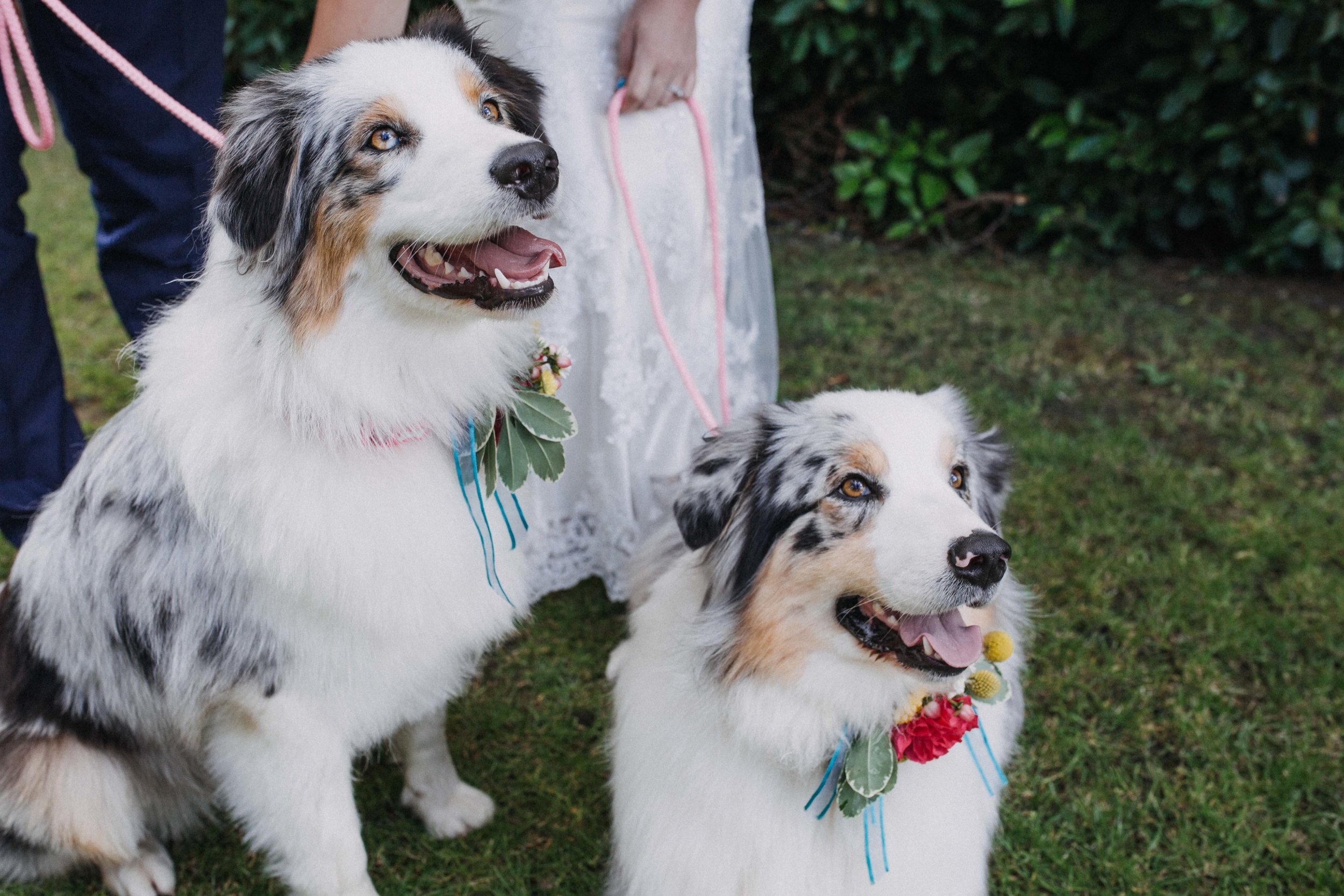 Sheffield Wedding Photographer Ellie Grace Photography
