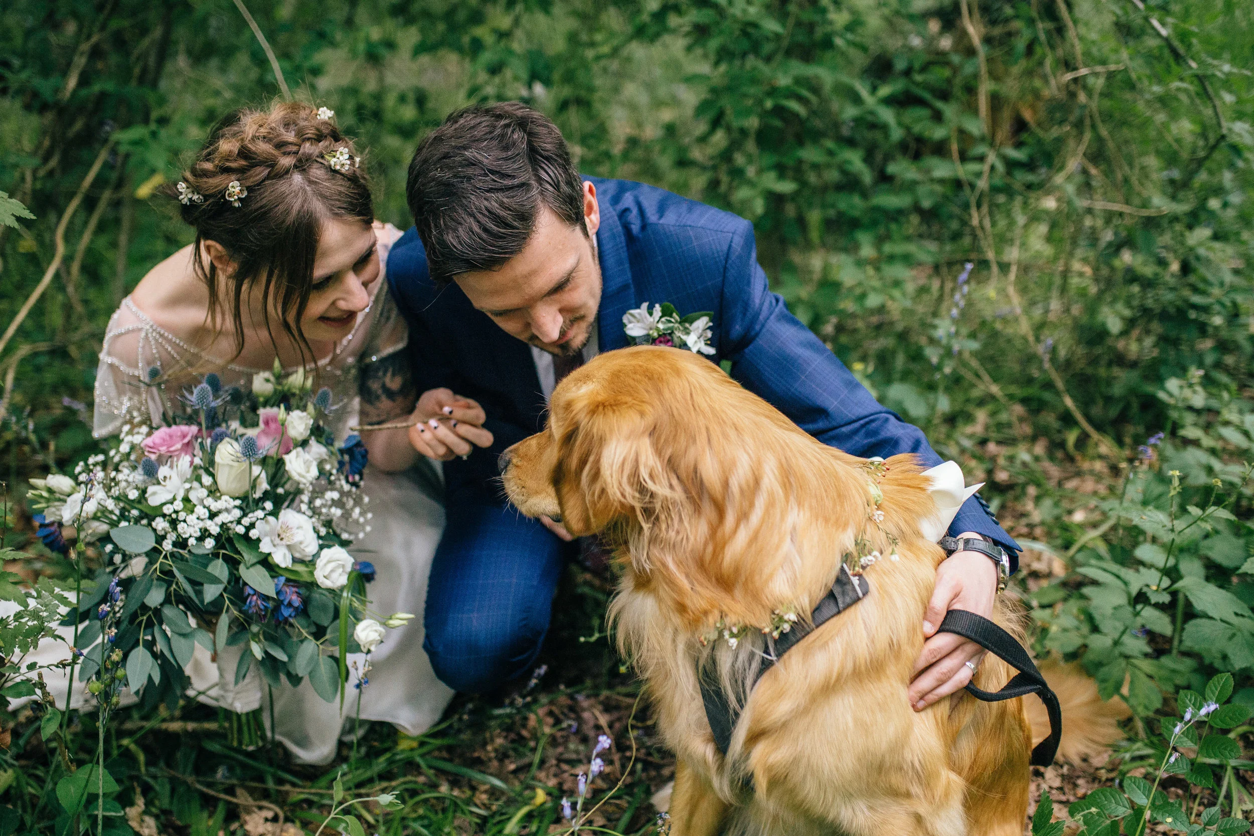 Sheffield Wedding Photographer Dogs at Weddings Discovery Centre