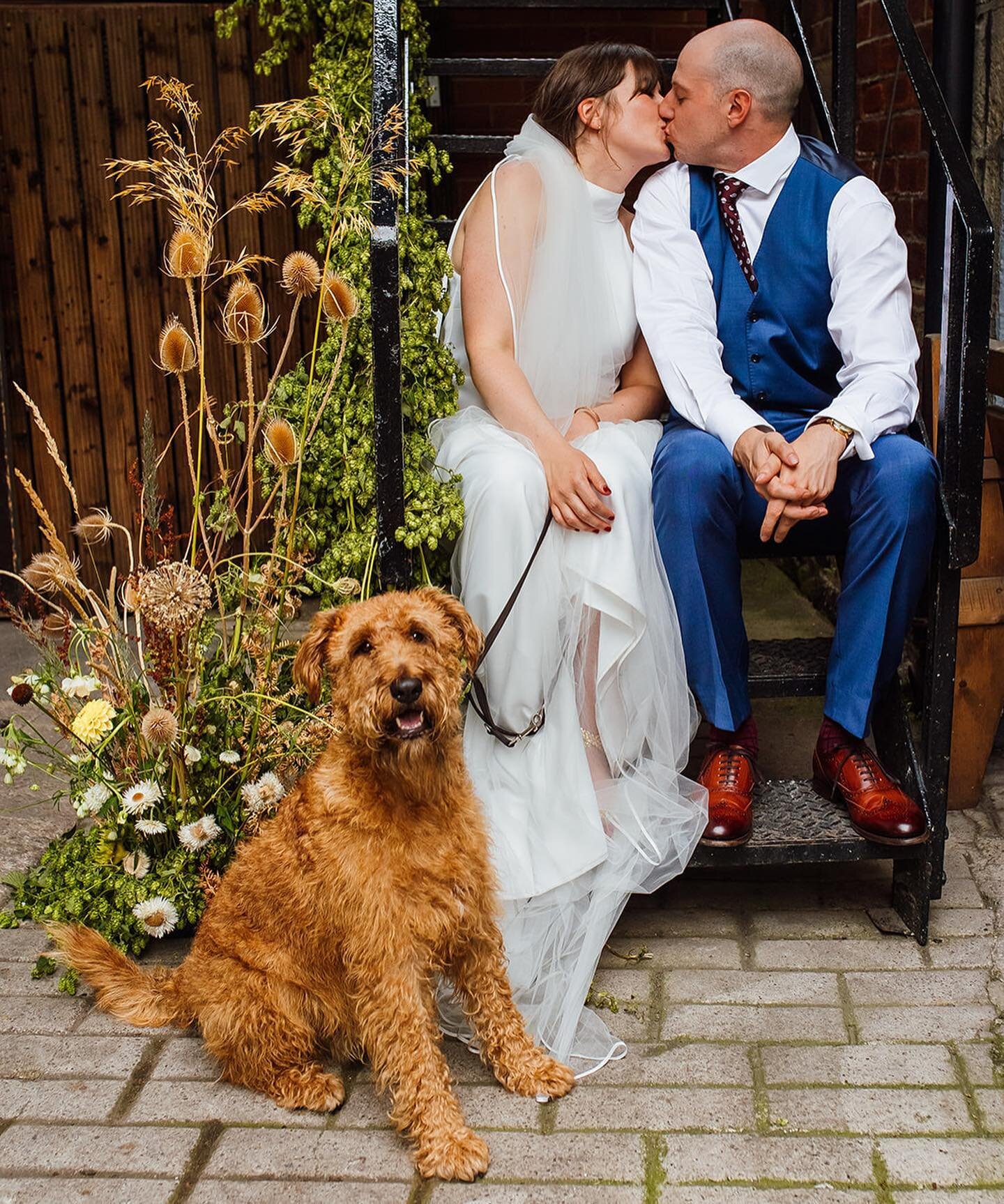 Blooming WONDERFUL day on Saturday for Kate + Jamie. Absolutely in love with the venue and very much in love with the entire day tbh ❤️🌞 oh and Bram 🐶
@chaplin_events 
@the.grazing.guys 
@theplantroom
.
.
.
.
.
.
.
.

#elliegraceweddings #sheffield