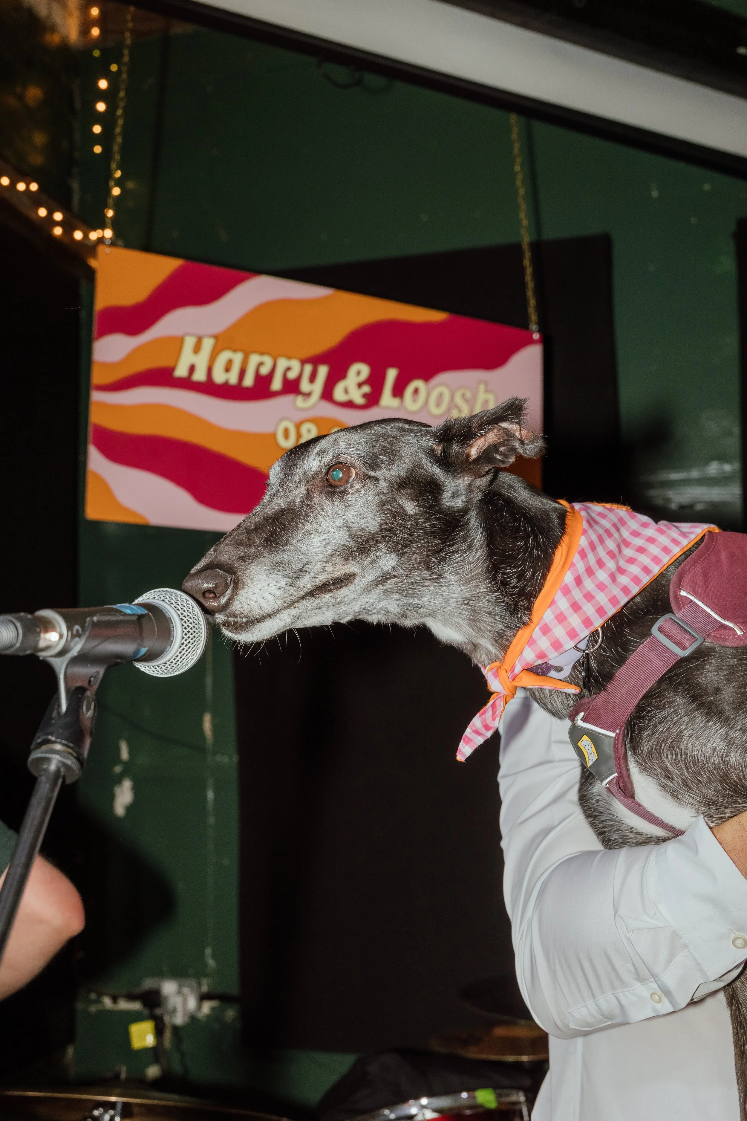 Lucia + Harry-45.jpg
