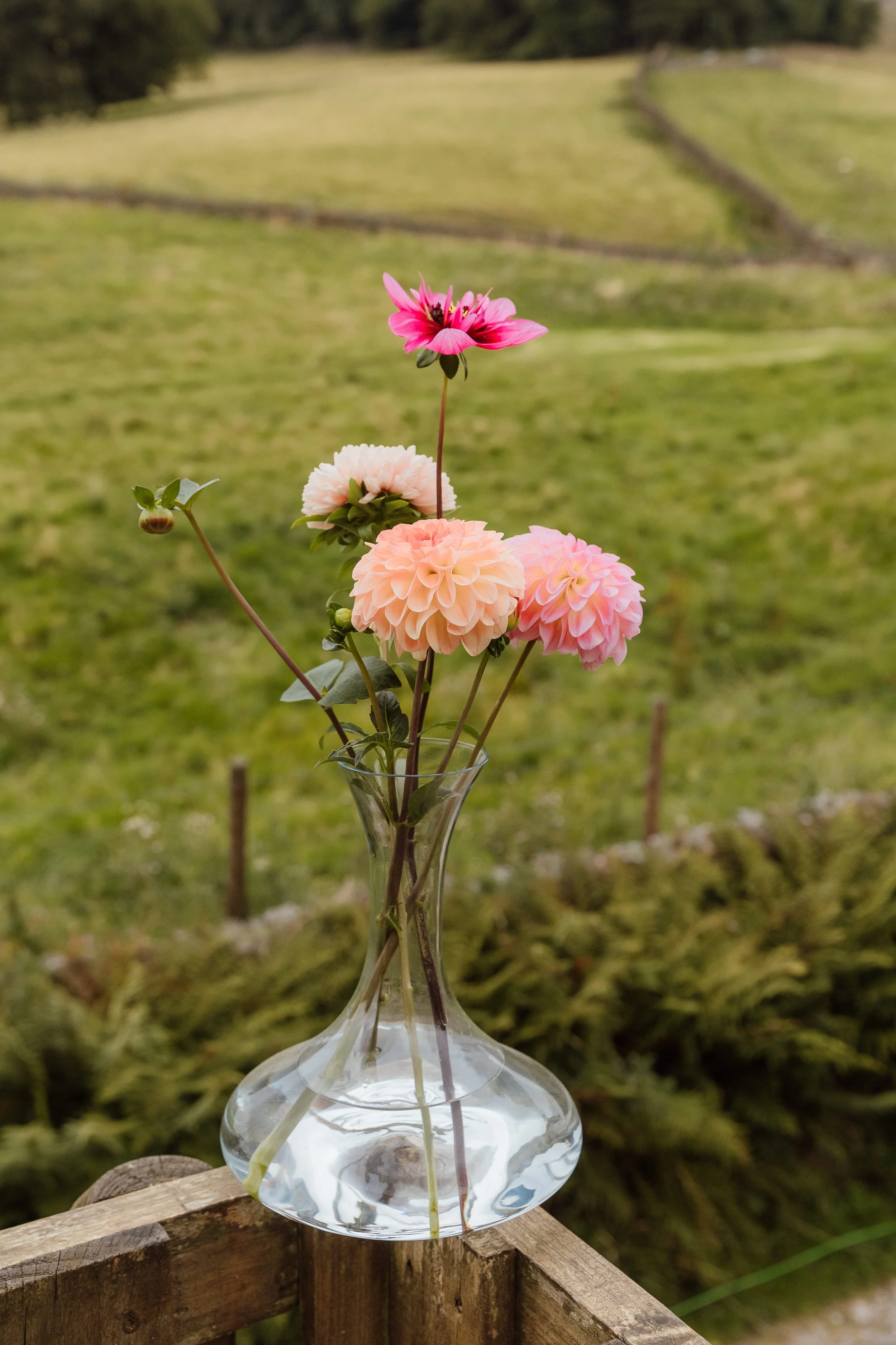 Heather + Tom-1.jpg