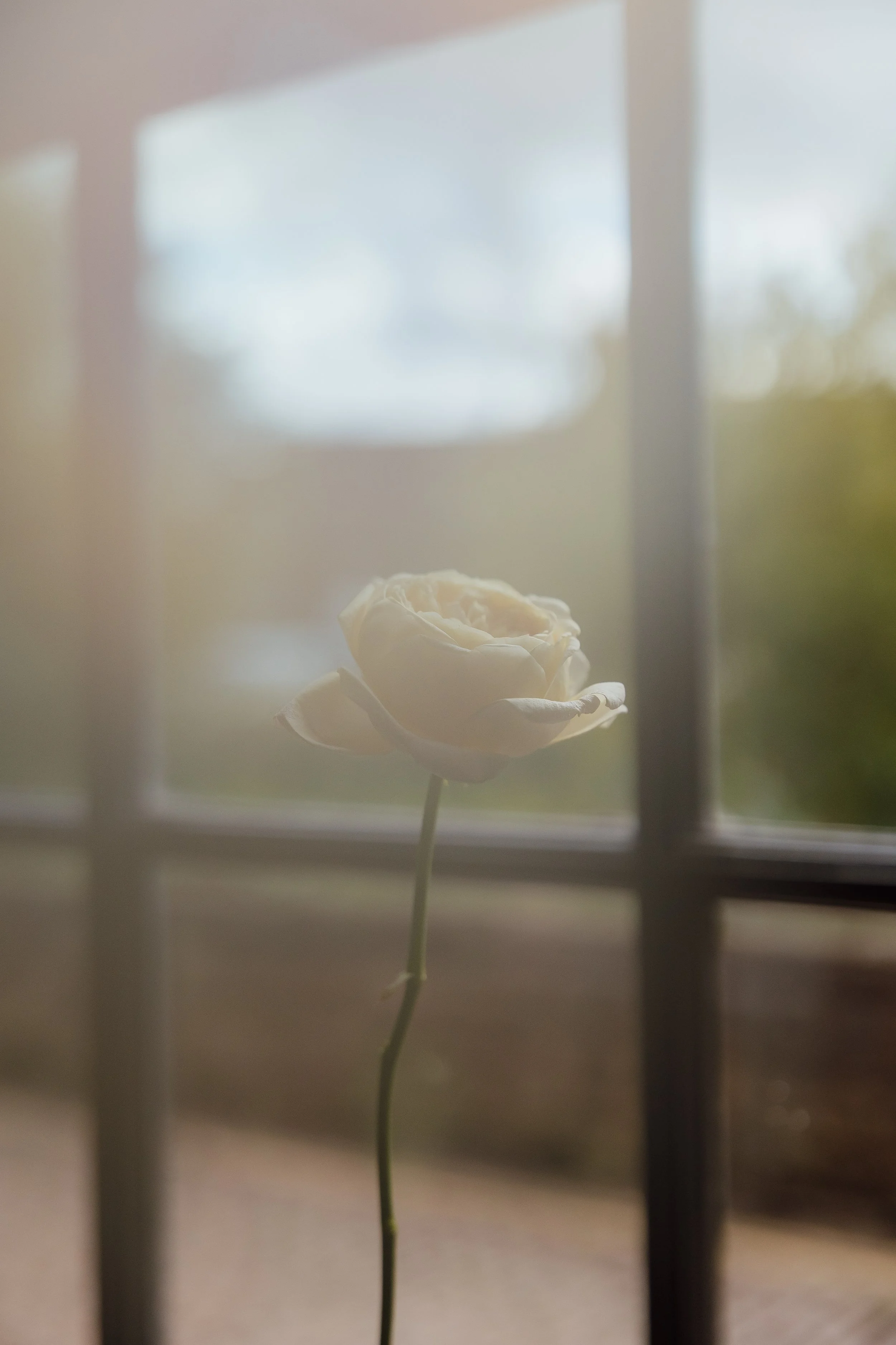 James + Georgia-2.jpg