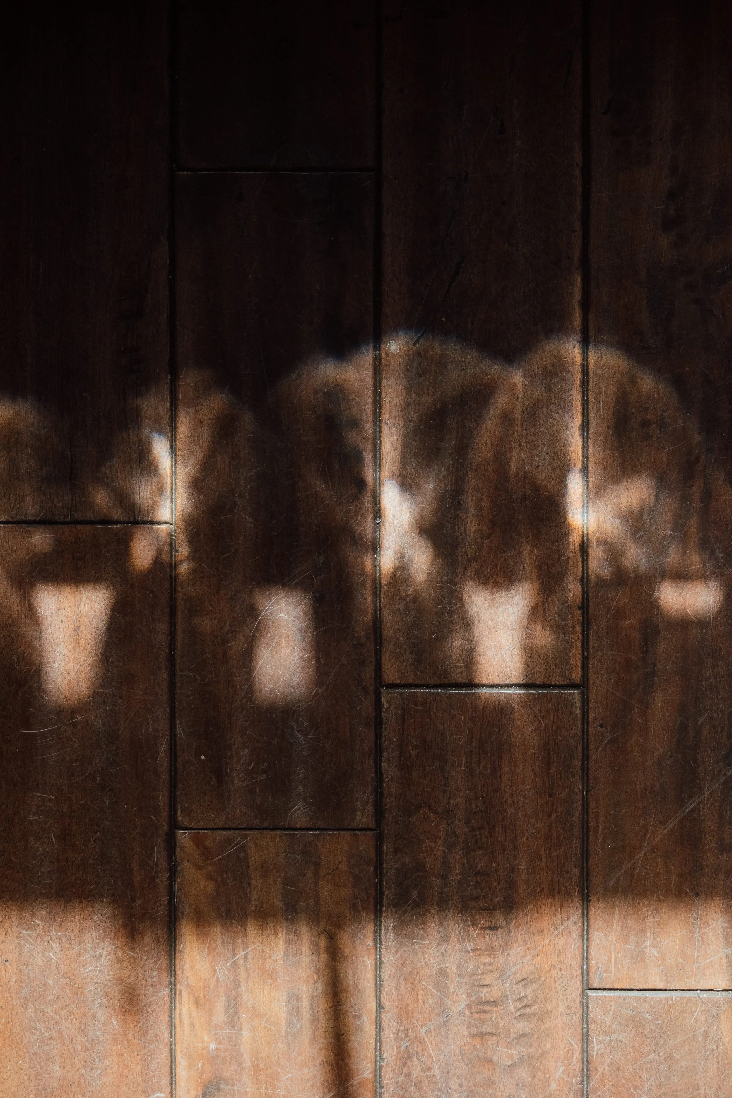 James + Georgia-8.jpg