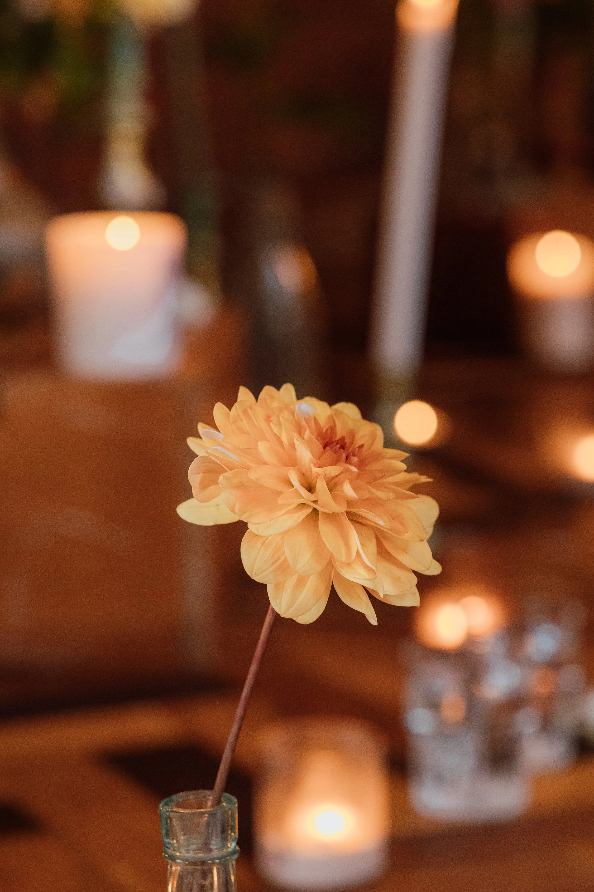 James + Georgia-17.jpg