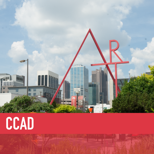 ddcamember_ccad.png