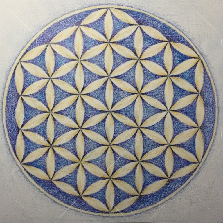 Levensbloem 1 (zeshoek)