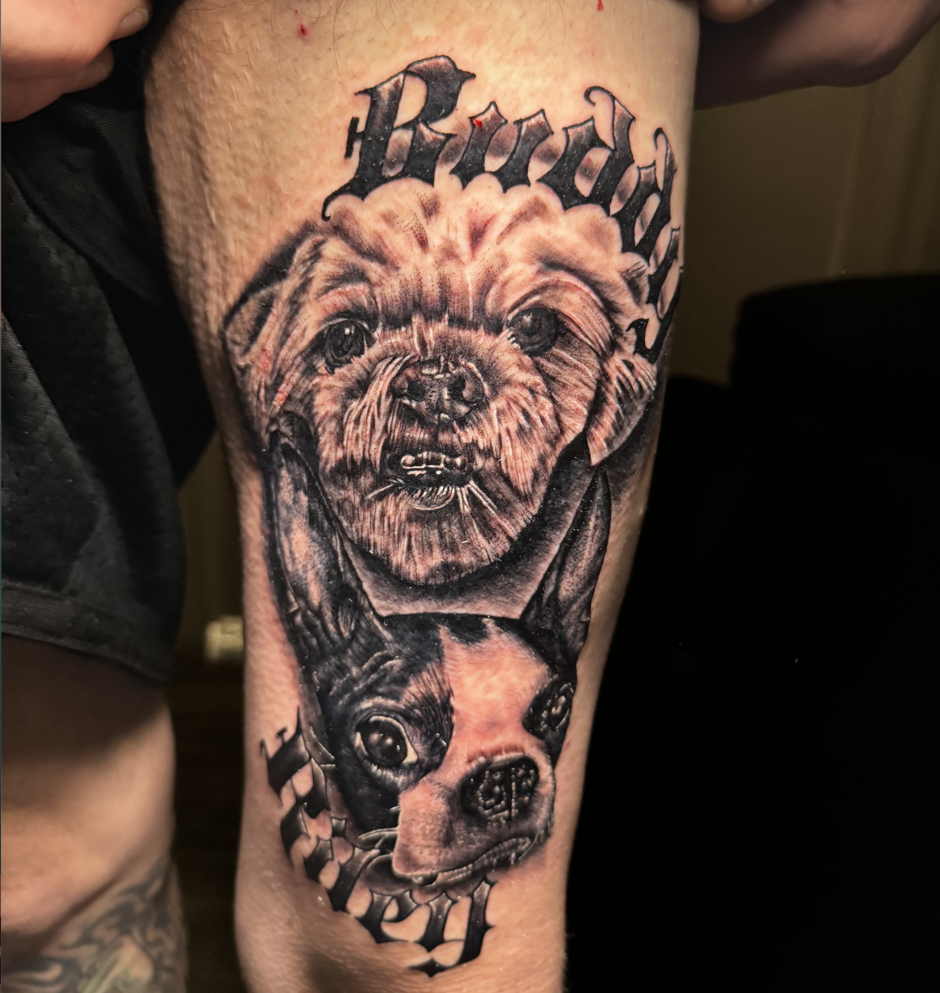 Screenshot 2026-03-18 at 10.27.22 AM.png