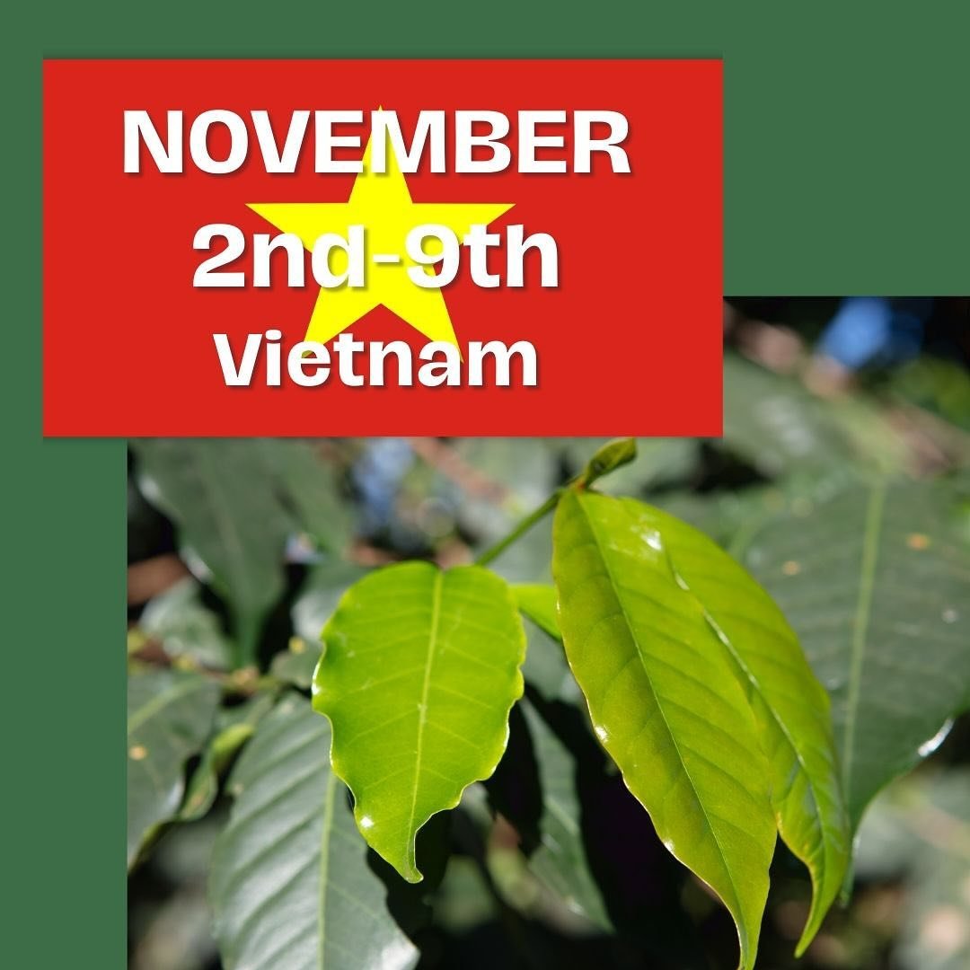 VIETNAM 2nd-9th November - last week we announced a very special trip for the end of this year and we already have A LOT of interest, here are some of the highlights of what we&rsquo;ll be doing in Ho Chi Minh and Dalat - be sure to sign up on our we