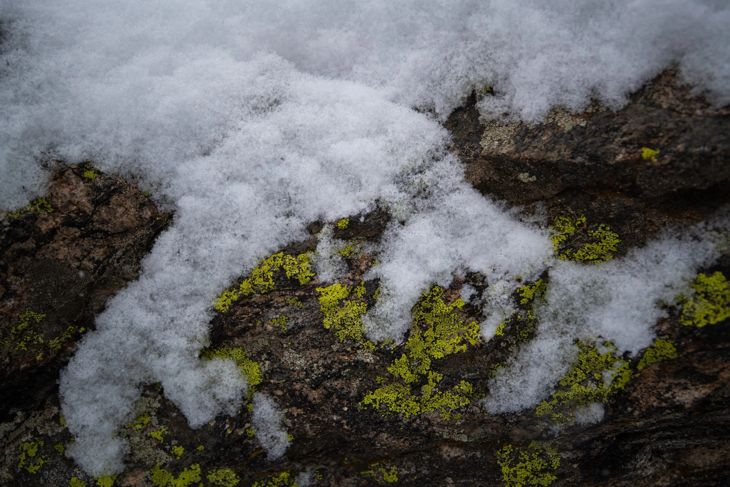 Rocksnow.jpg