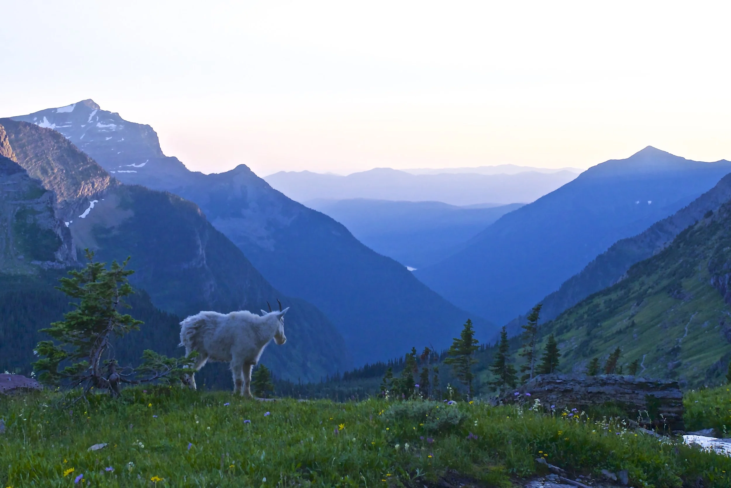 Looking West at sunset.jpg