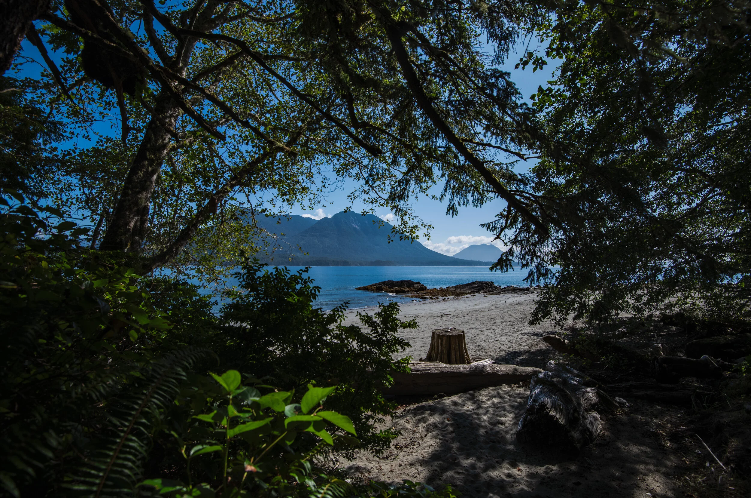 TofinoAugust2019-1.jpg