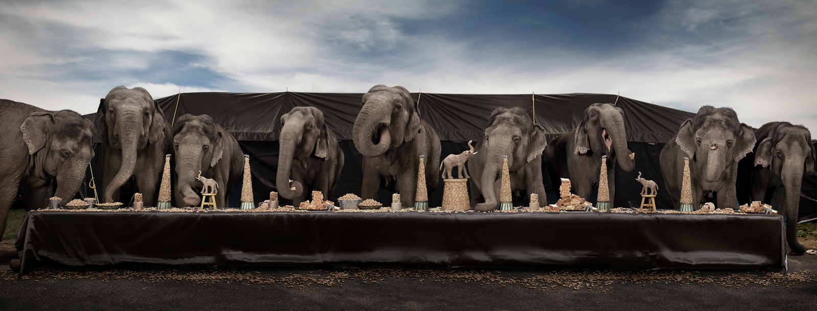  The Elephant Feast  United States, 2013  10”x26” | 20”x52” | 40”x104” 