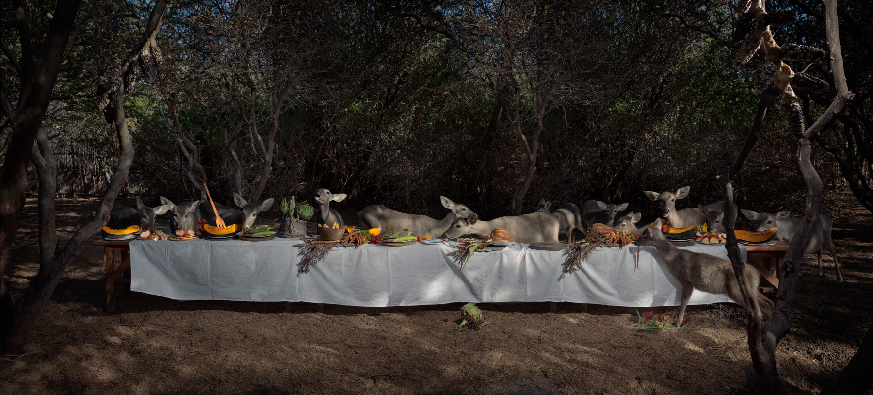  The Deer Feast  Peru, 2014  10”x22” | 20”x44” | 40”x88” 