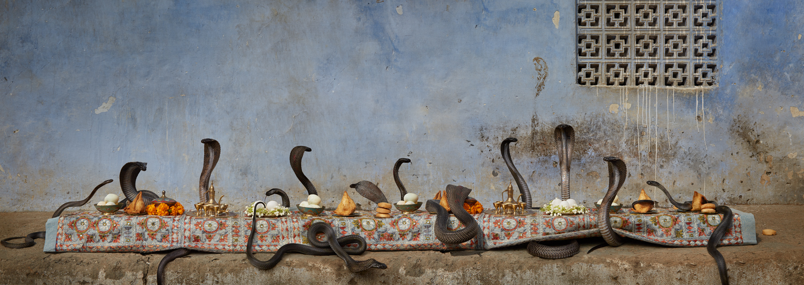  The Cobra Feast  India, 2016  10”x28” | 20”x56” | 40”x112” 
